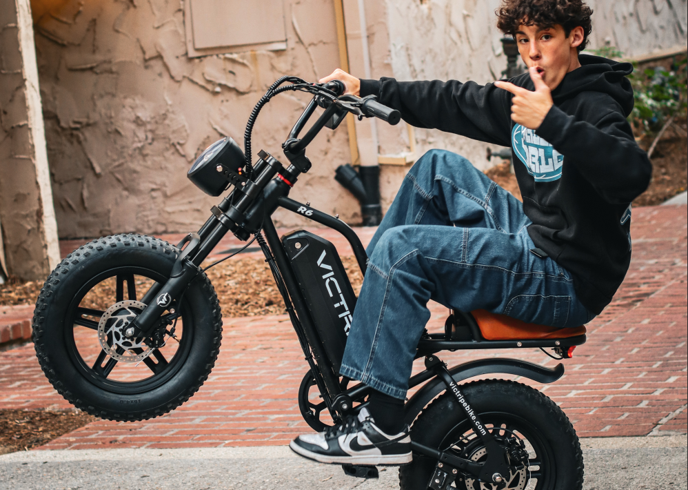 Mini Electric Bicycle With Fat Tires | VICTRIP