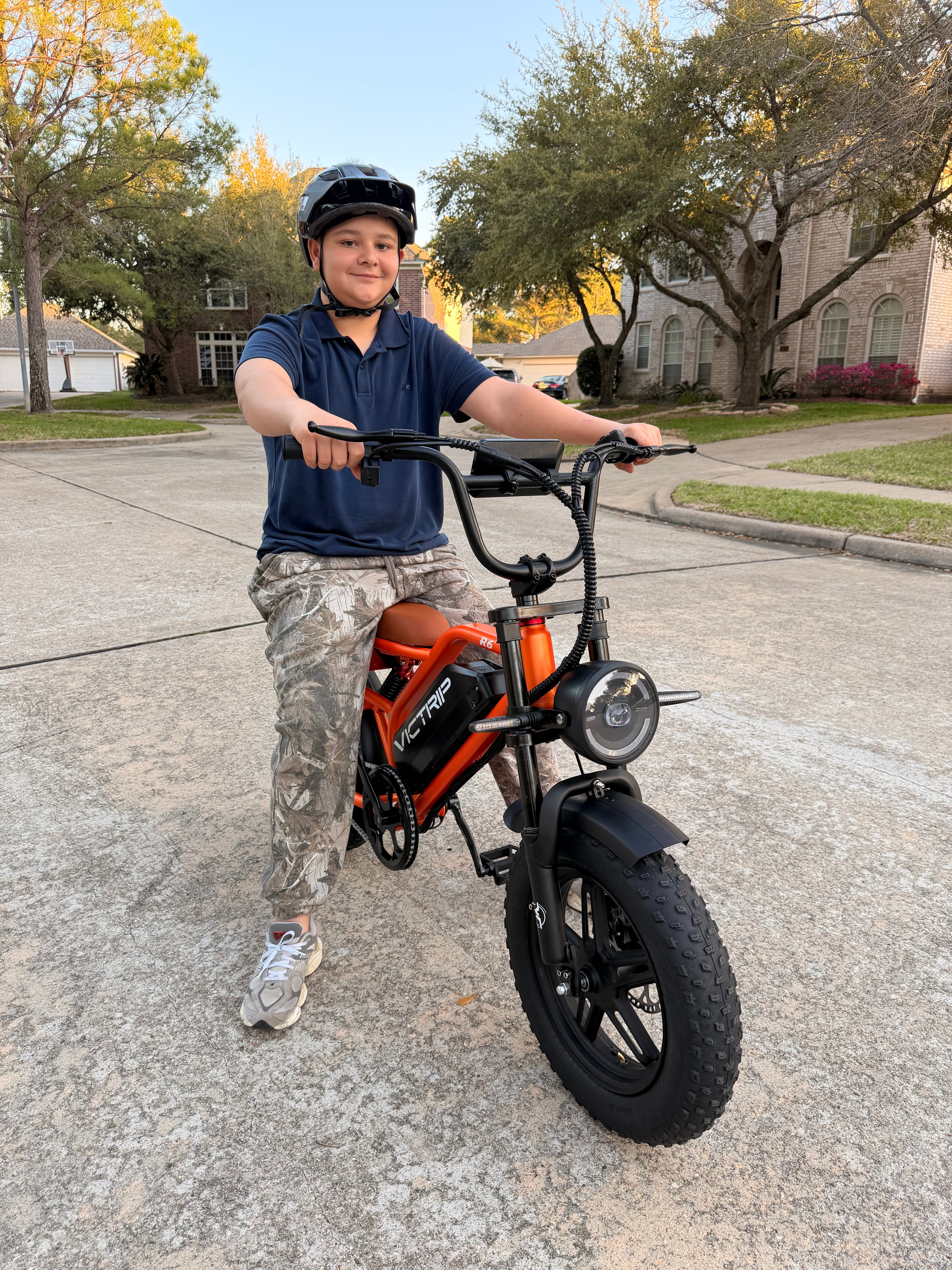 Small Electric Bicycle 250W | VICTRIP
