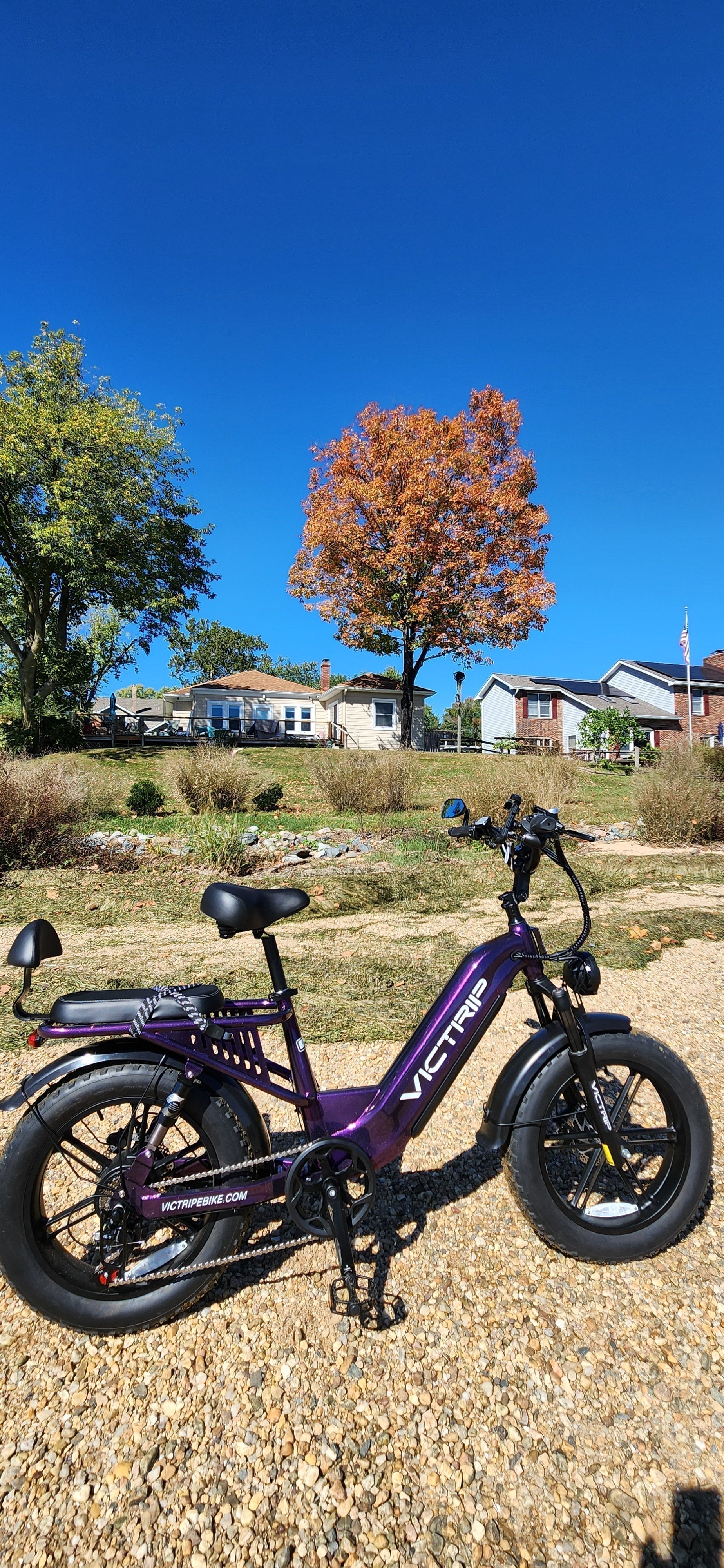 Electric Bicycles With Torque Sensors | VICTRIP