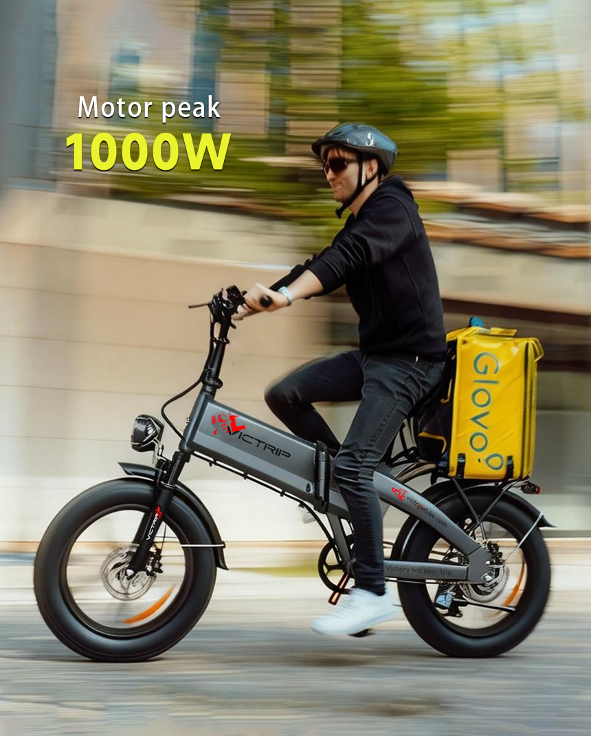 Folding Electric Bicycle Fat Bike | VICTRIP
