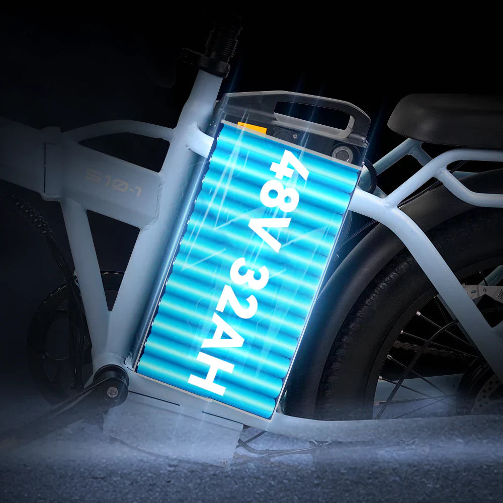 48 Volt Electric Bicycle Battery | VICTRIP