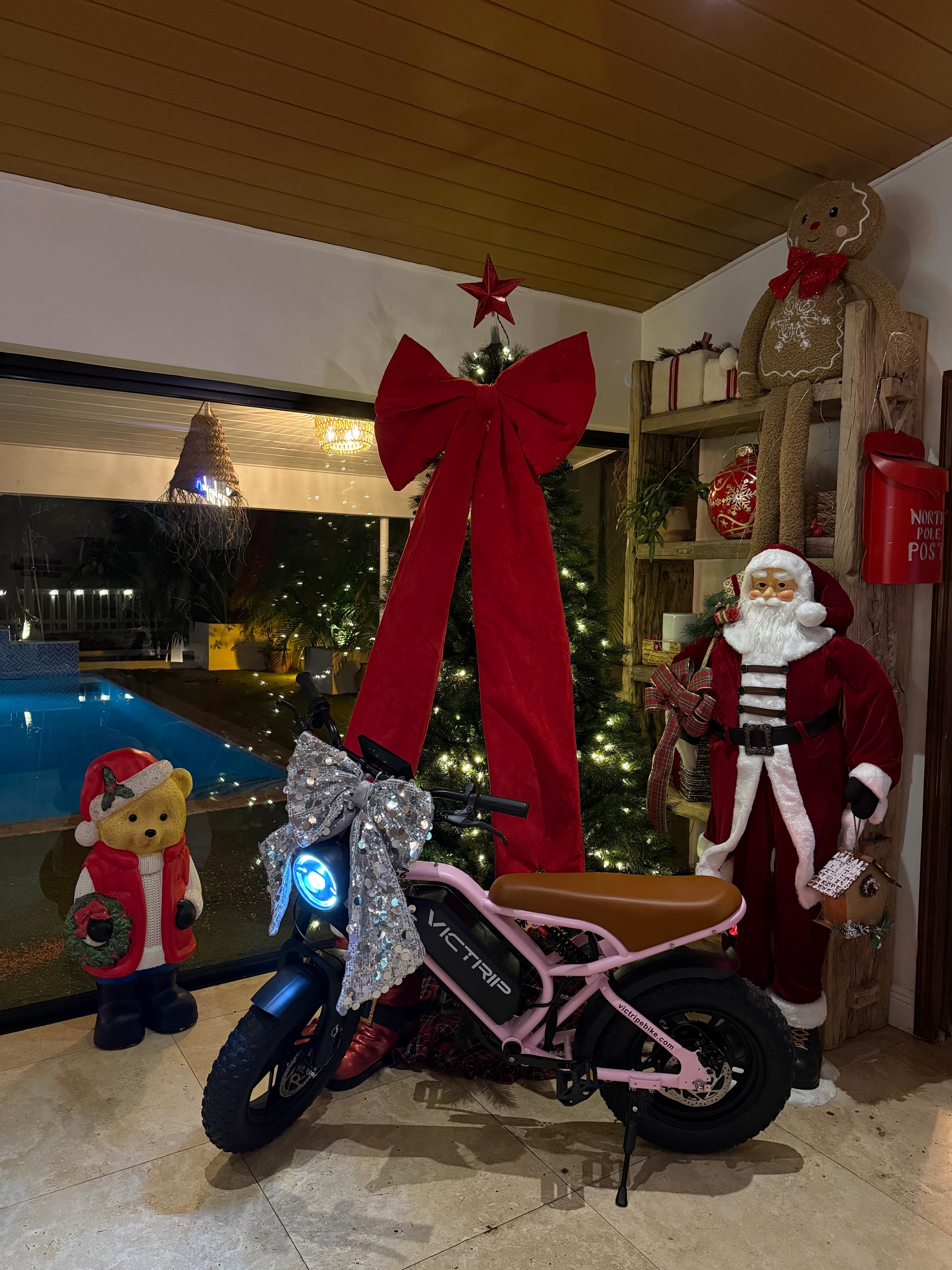 Moped Style E Bike | VICTRIP