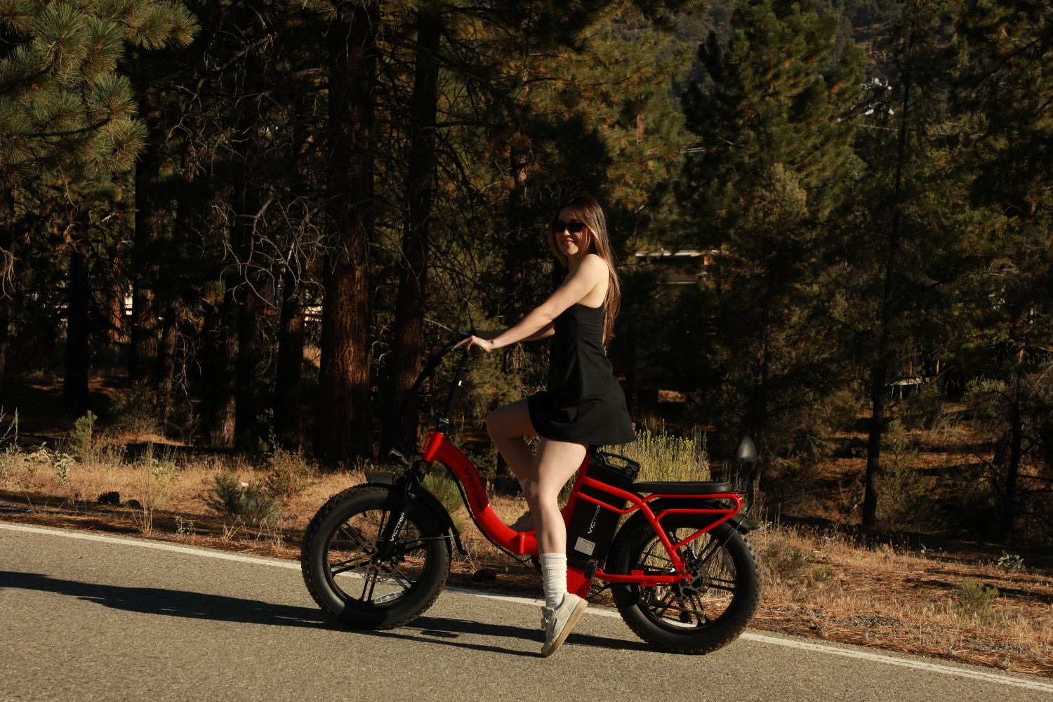 Lightweight Ebike | VICTRIP
