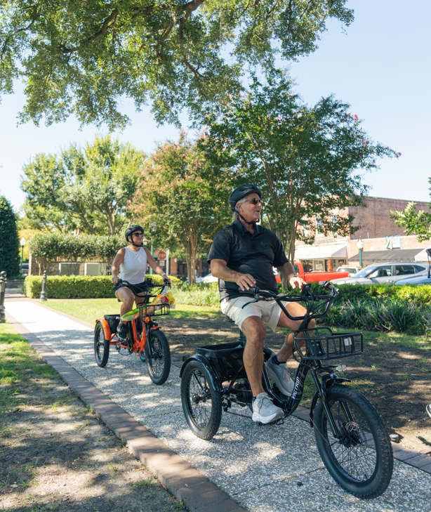 Electric Trike Bike | VICTRIP