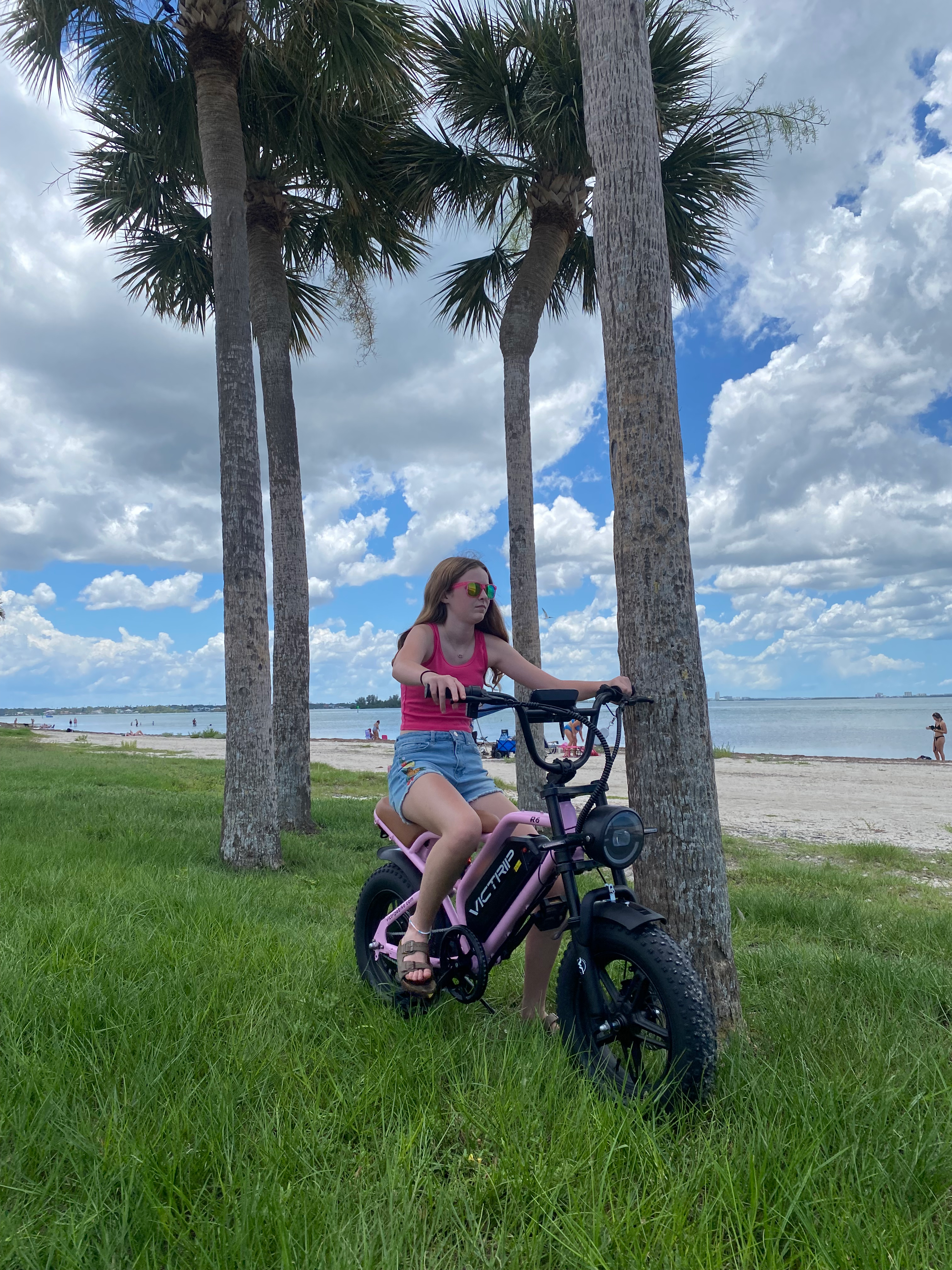 Electric Bikes That Look Like Motorcycles for Teens and Adults