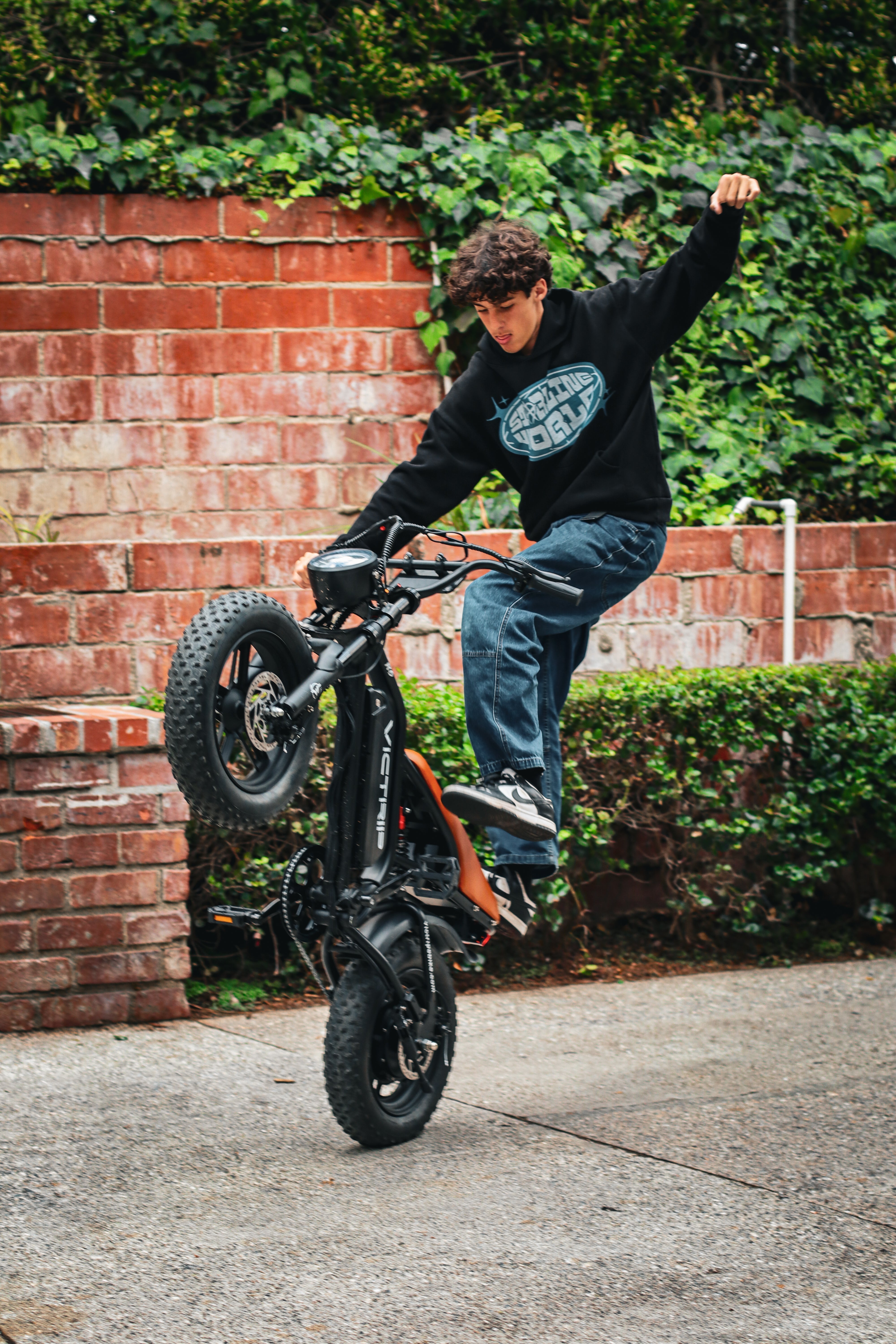 Fast Electric Cycle | VICTRIP