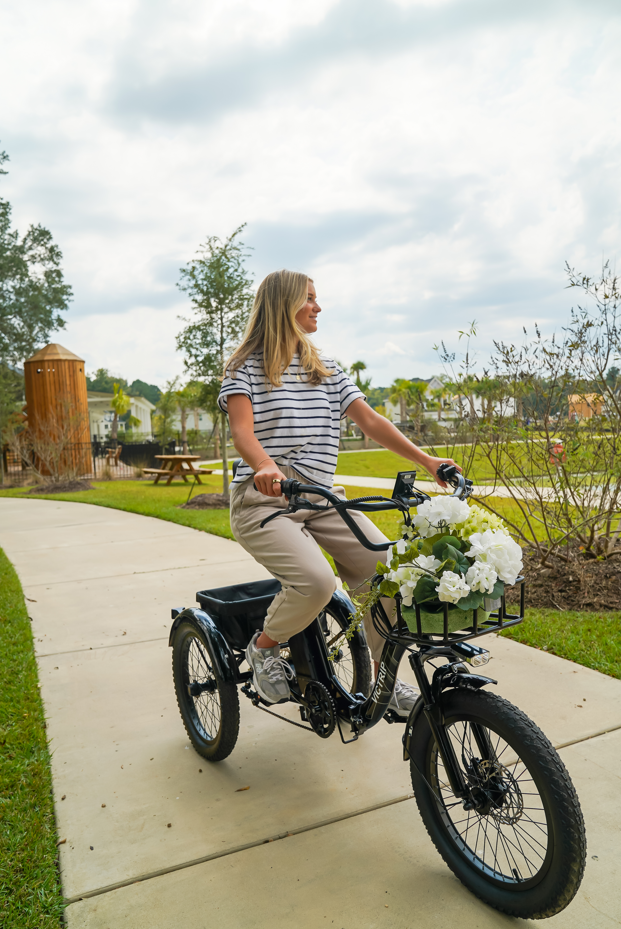 Electric Tricycles For Adults | VICTRIP