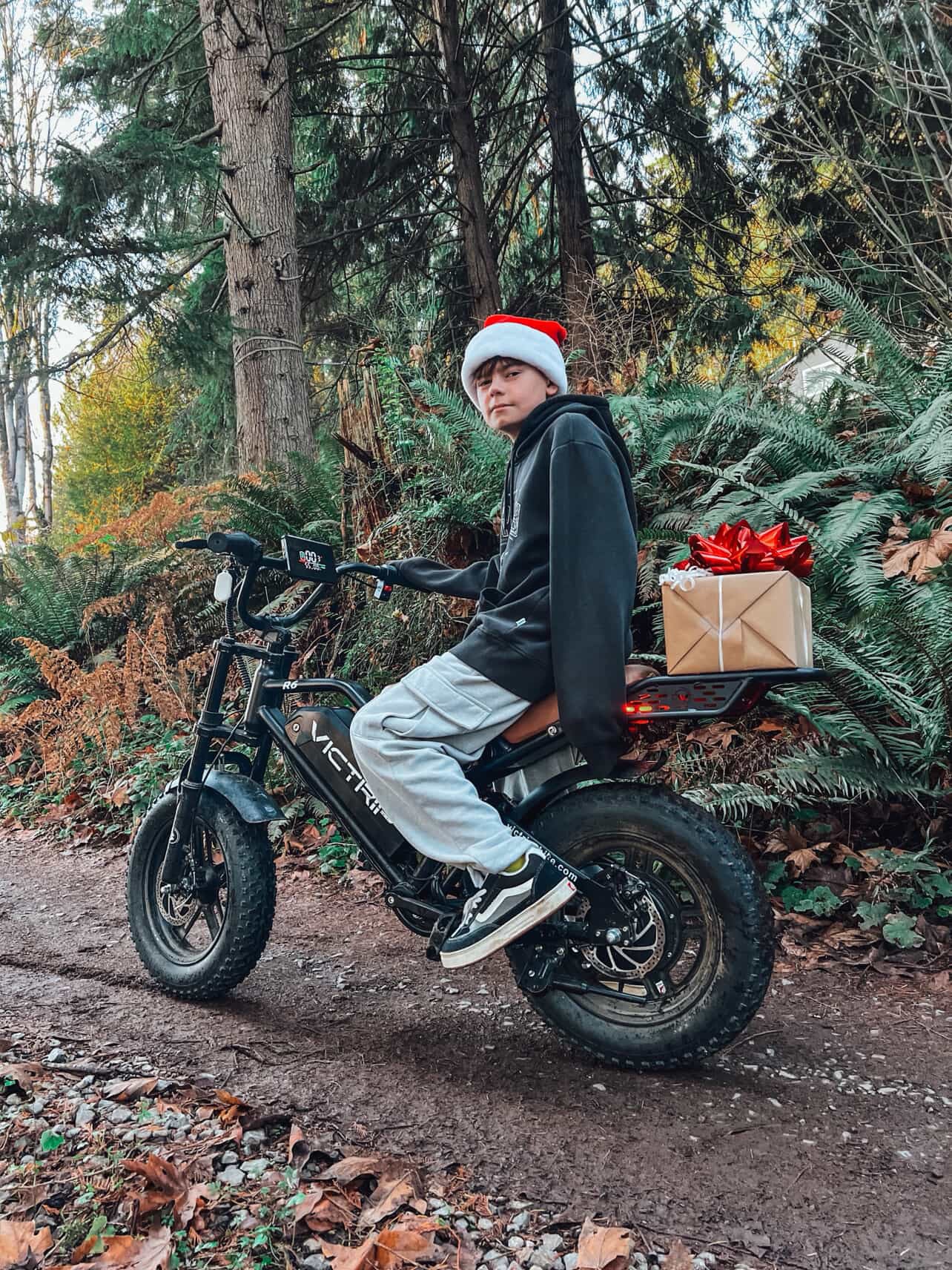 Moped Style Electric Bikes | VICTRIP