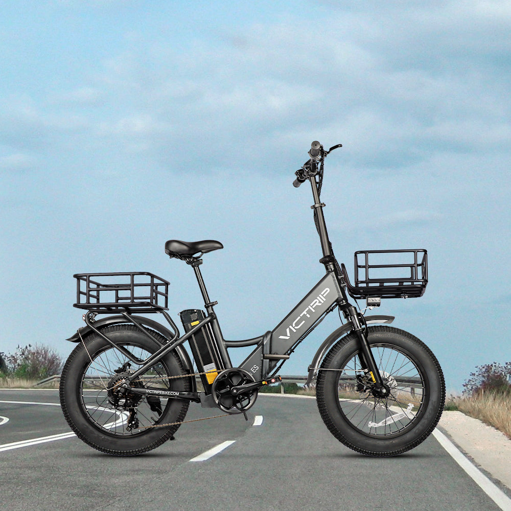 dual battery electric bike international shipping