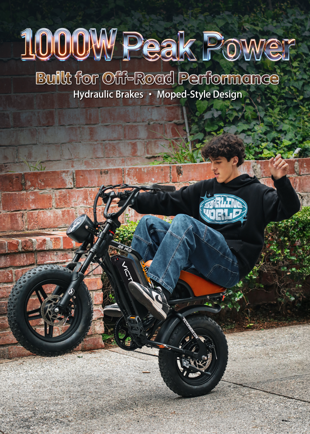Best Electric Bikes 1000W | VICTRIP