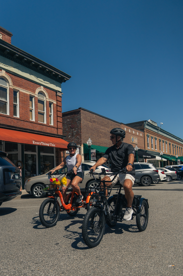 Fat Tire Electric Trike Folding | VICTRIP