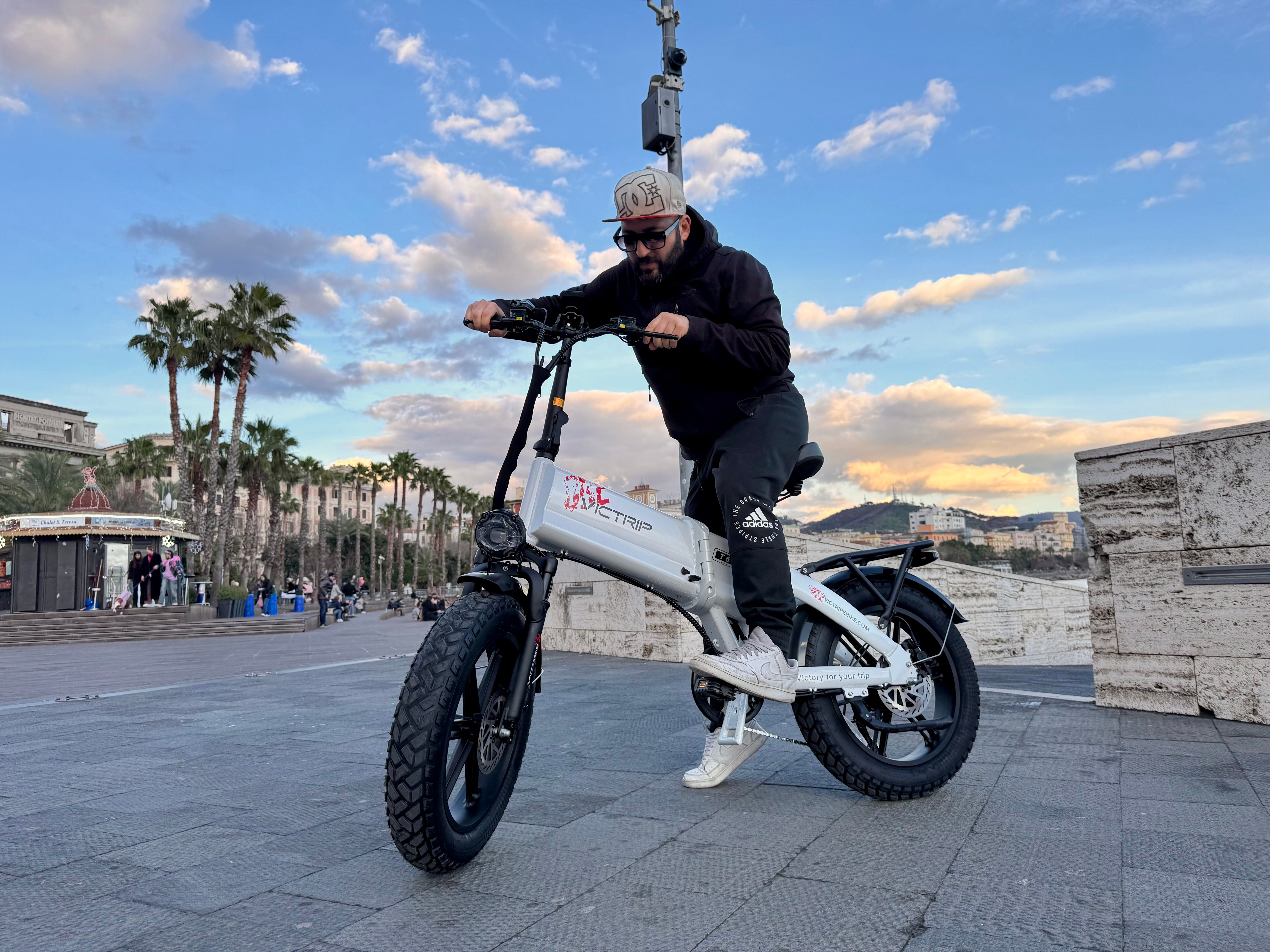 Electric Bicycle Mountain Bike | VICTRIP