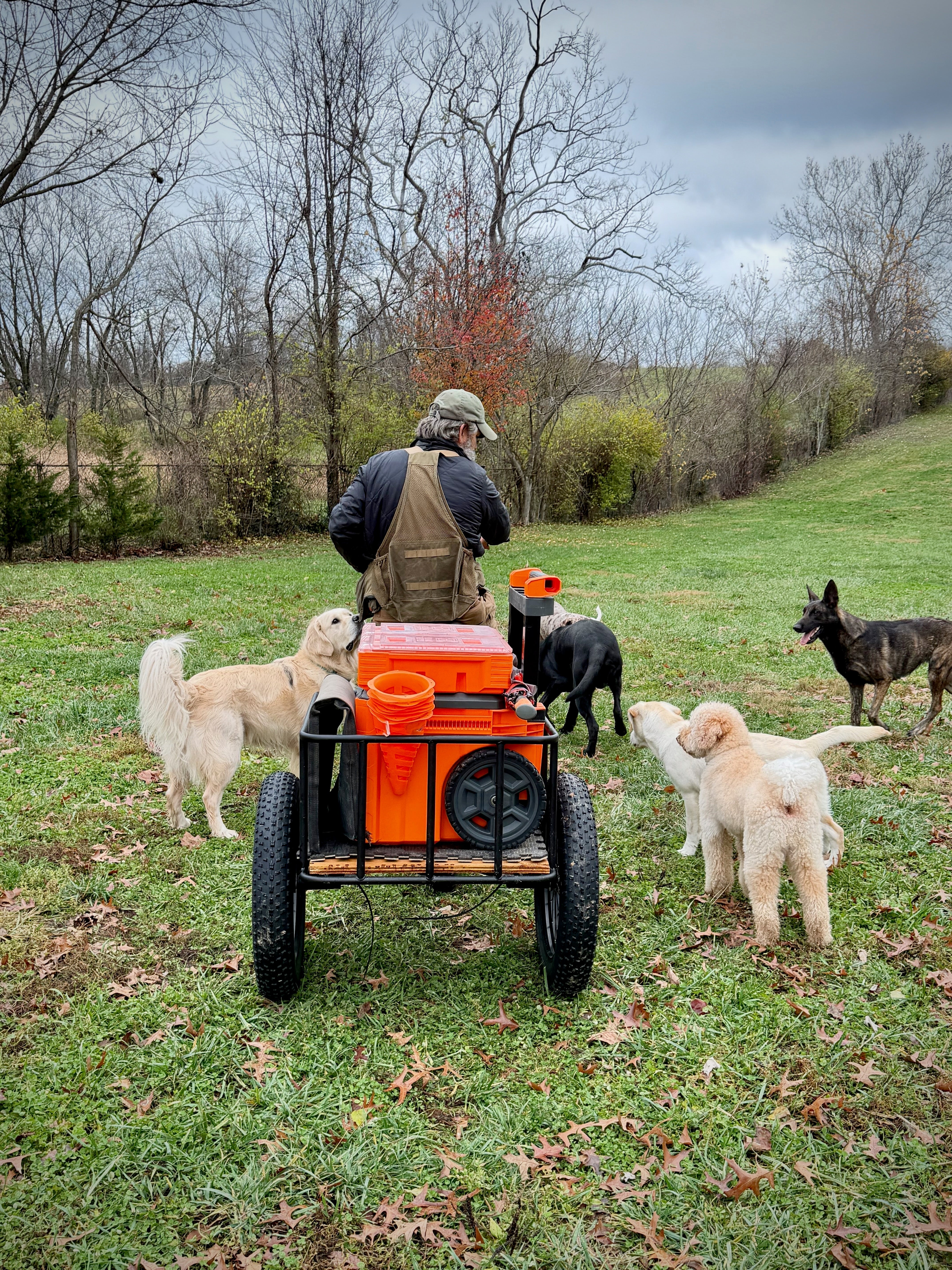 Electric Bike With Trailer | VICTRIP