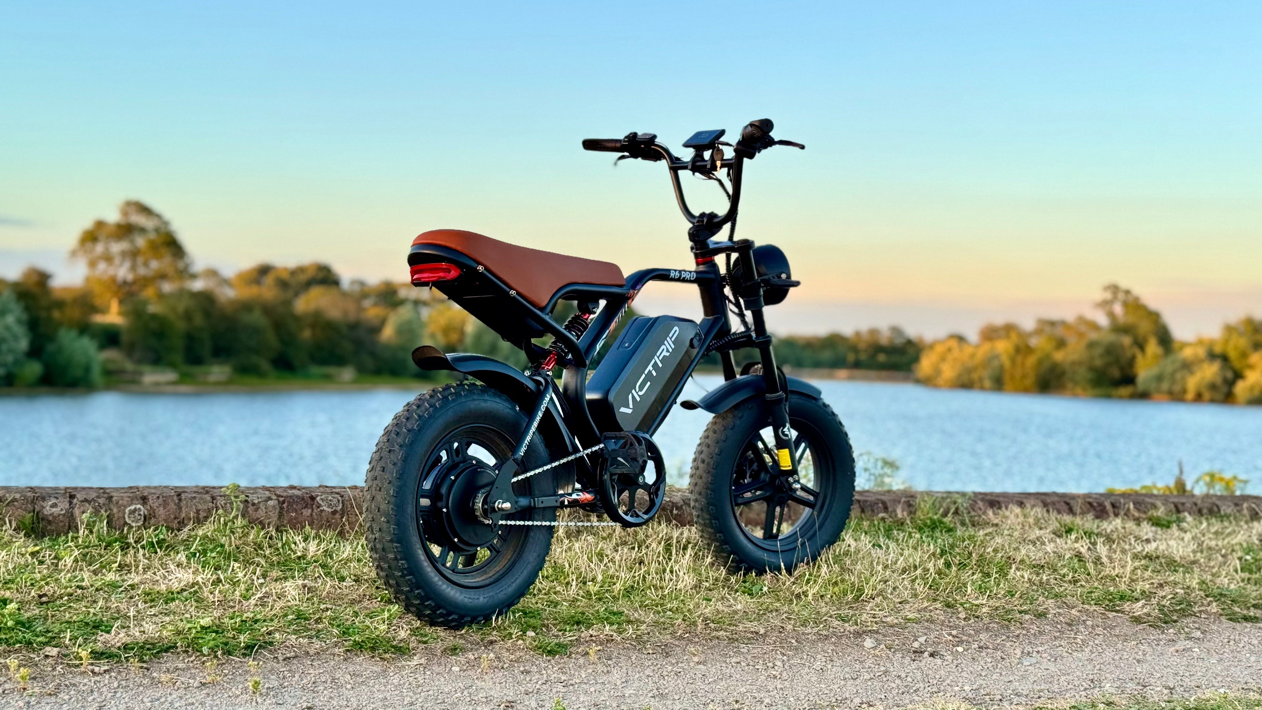 Electric Moped Bicycle | VICTRIP