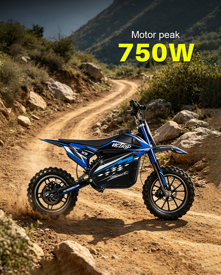 Electric Dirt Bike For 10-year Old | VICTRIP