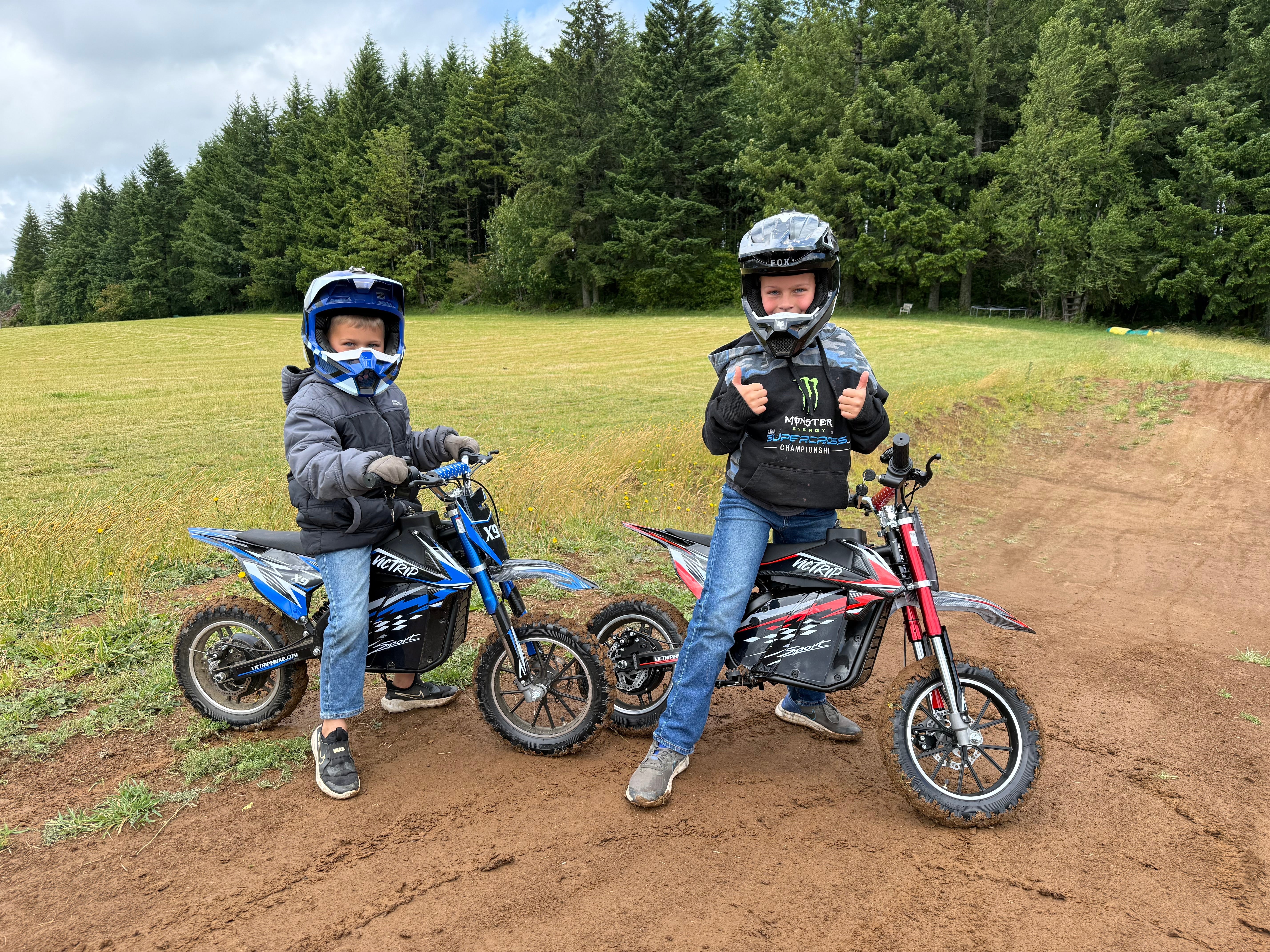 Youth Dirt Bikes 500W | VICTRIP