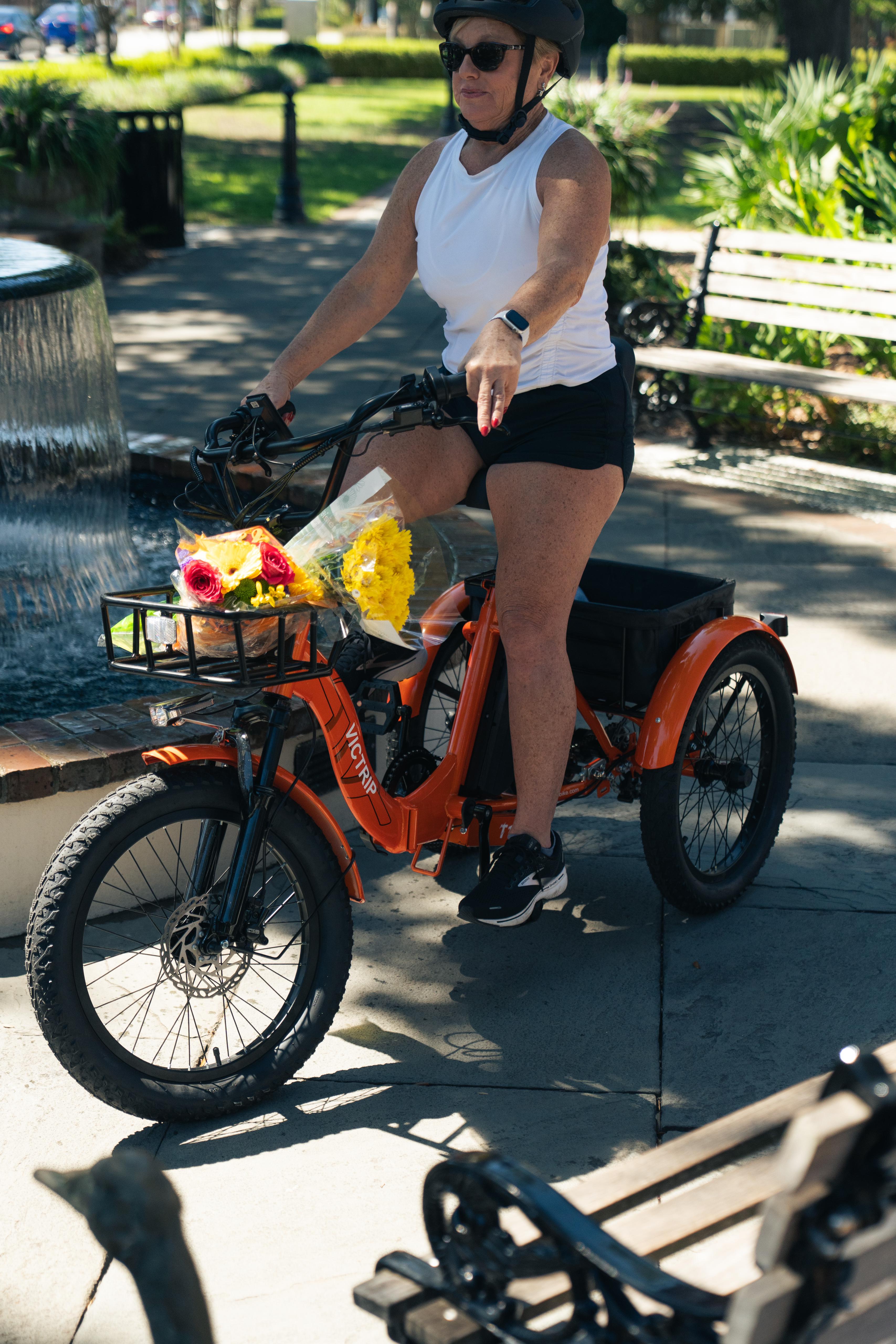 3 Wheel Electric Bikes For Adults | VICTRIP