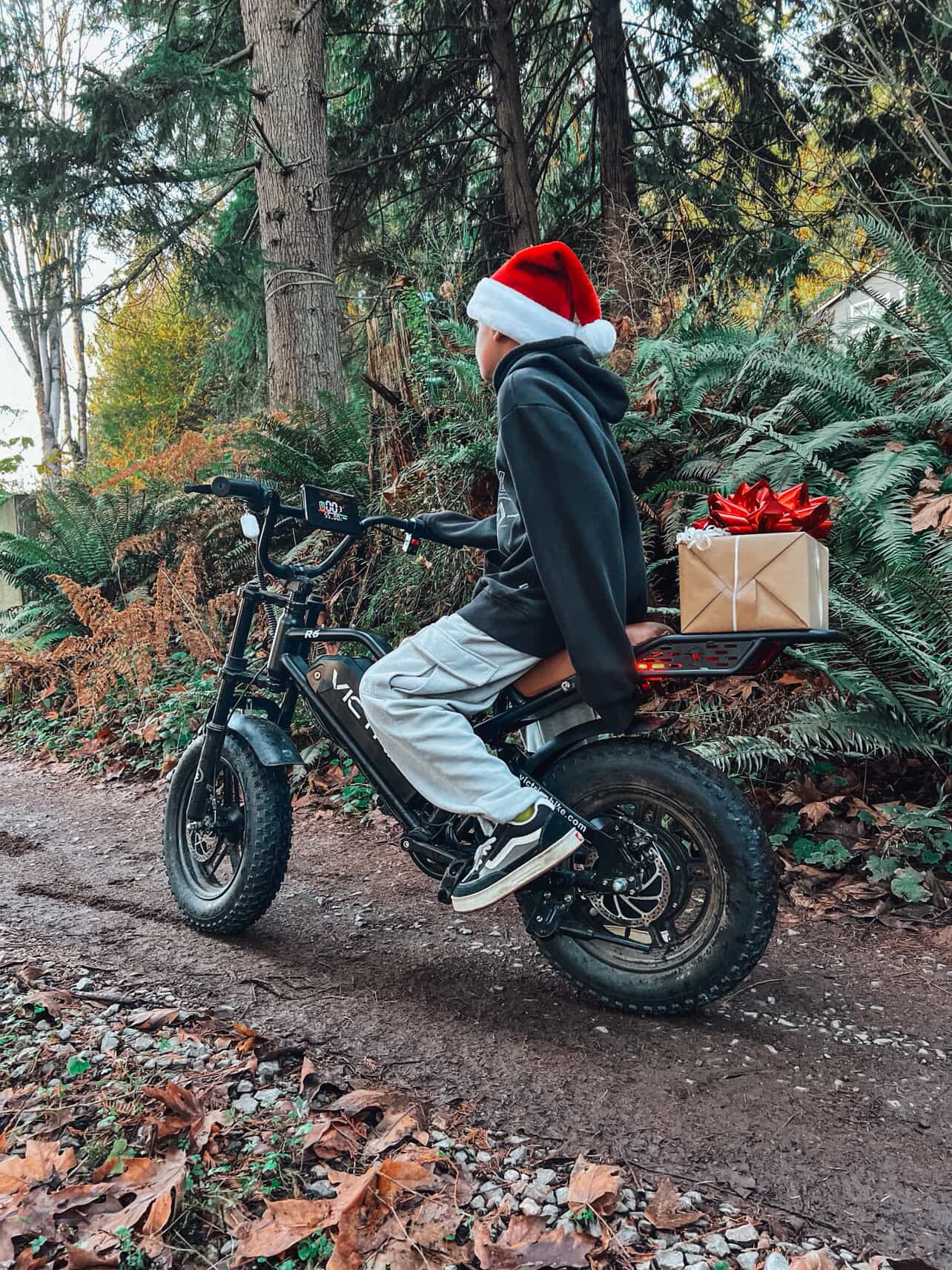 Fastest Electric Moped | VICTRIP