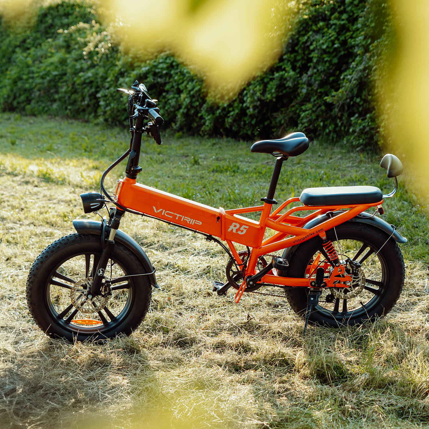 Long Range Folding Electric Bike | VICTRIP
