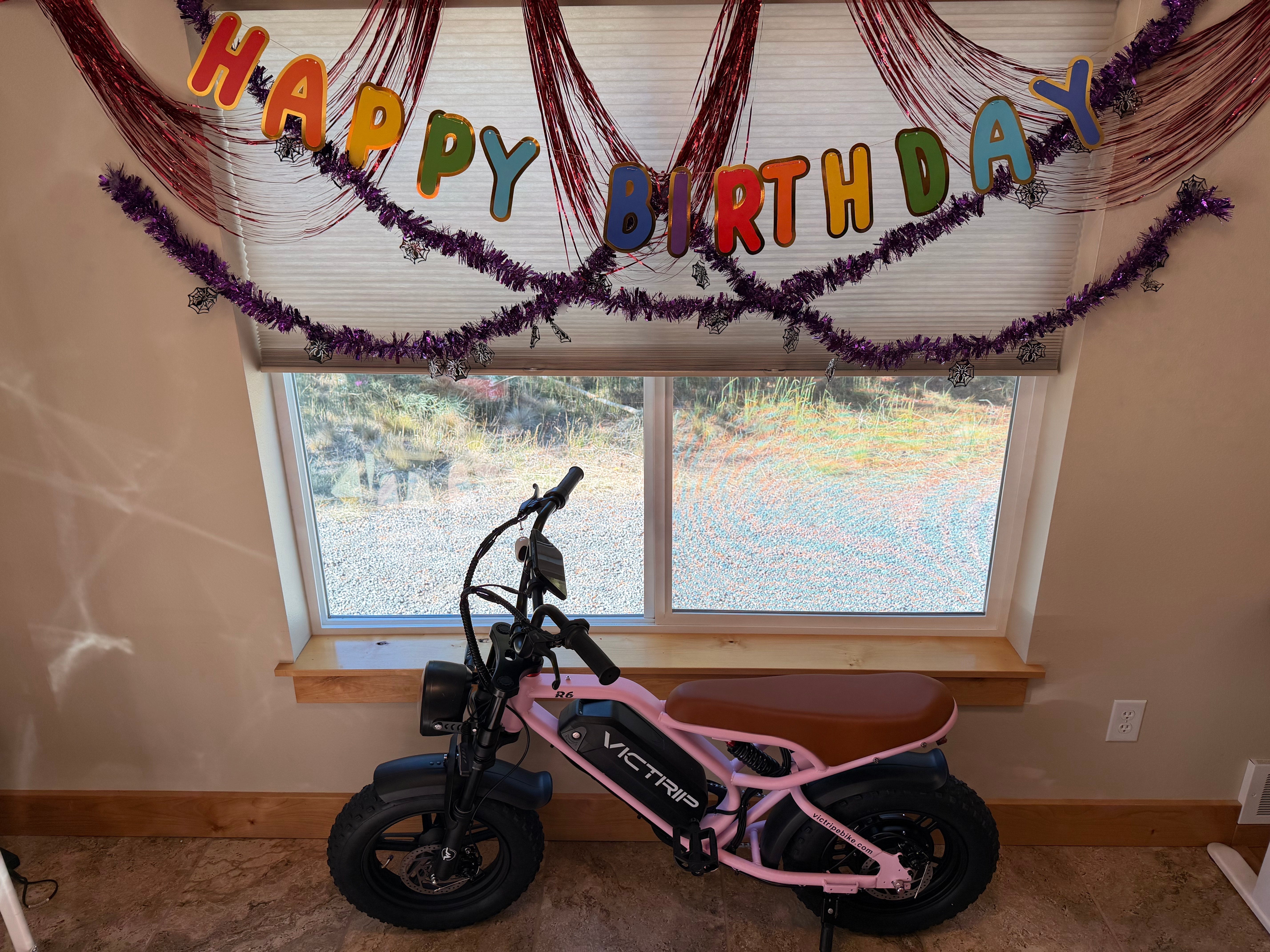 Pink Ebike For Teens | VICTRIP