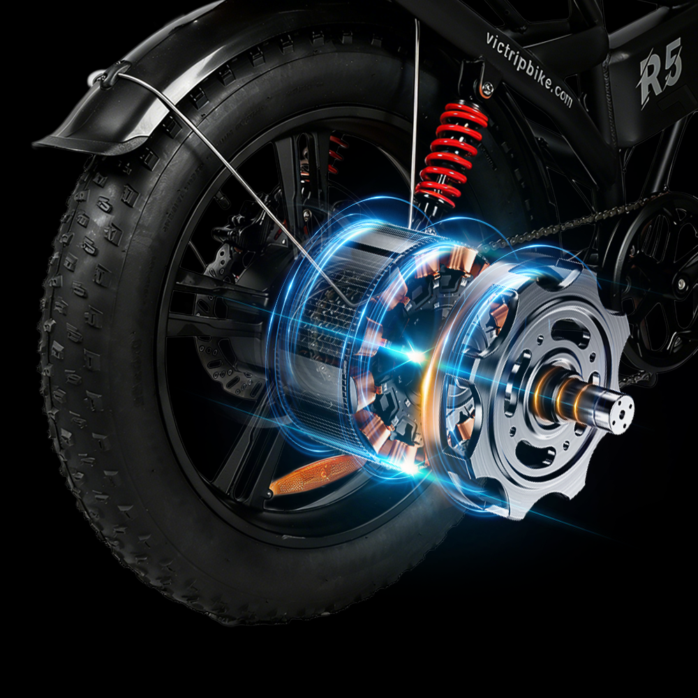 A closer look at E Bike With Powerful Electric Motor