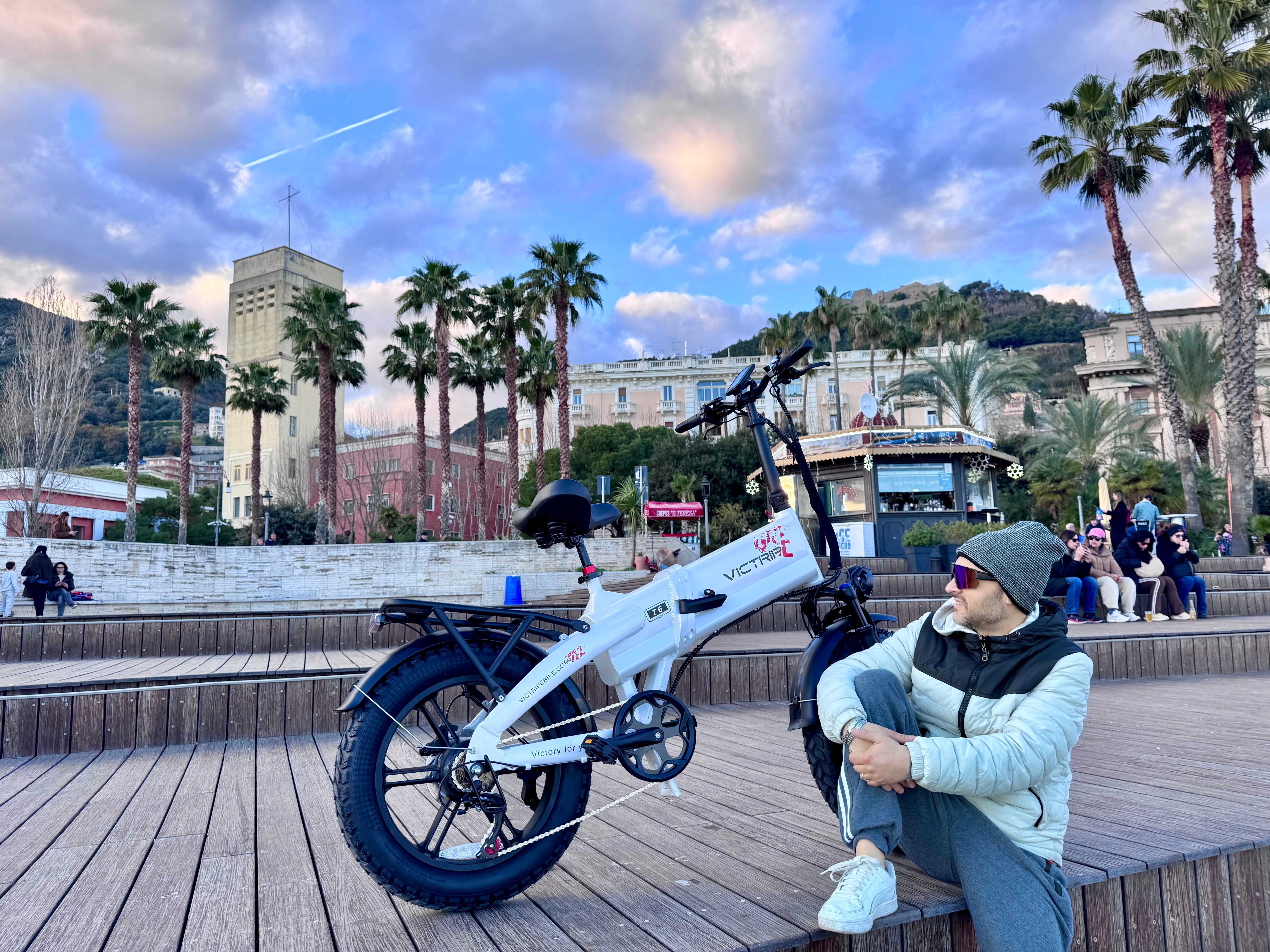 Electric Bicycles Fat Tire | VICTRIP