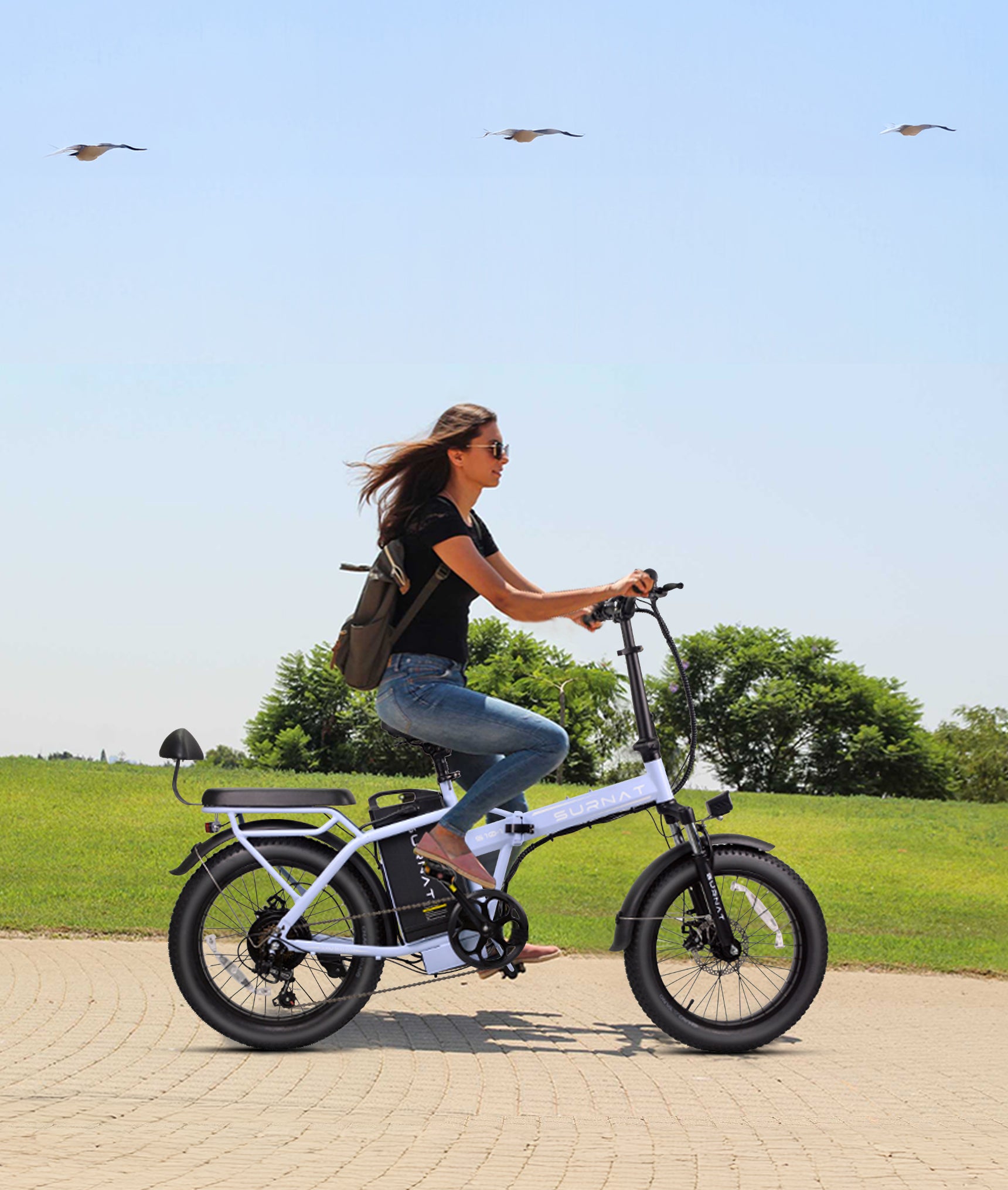 Lightweight Foldable Electric Bike | VICTRIP