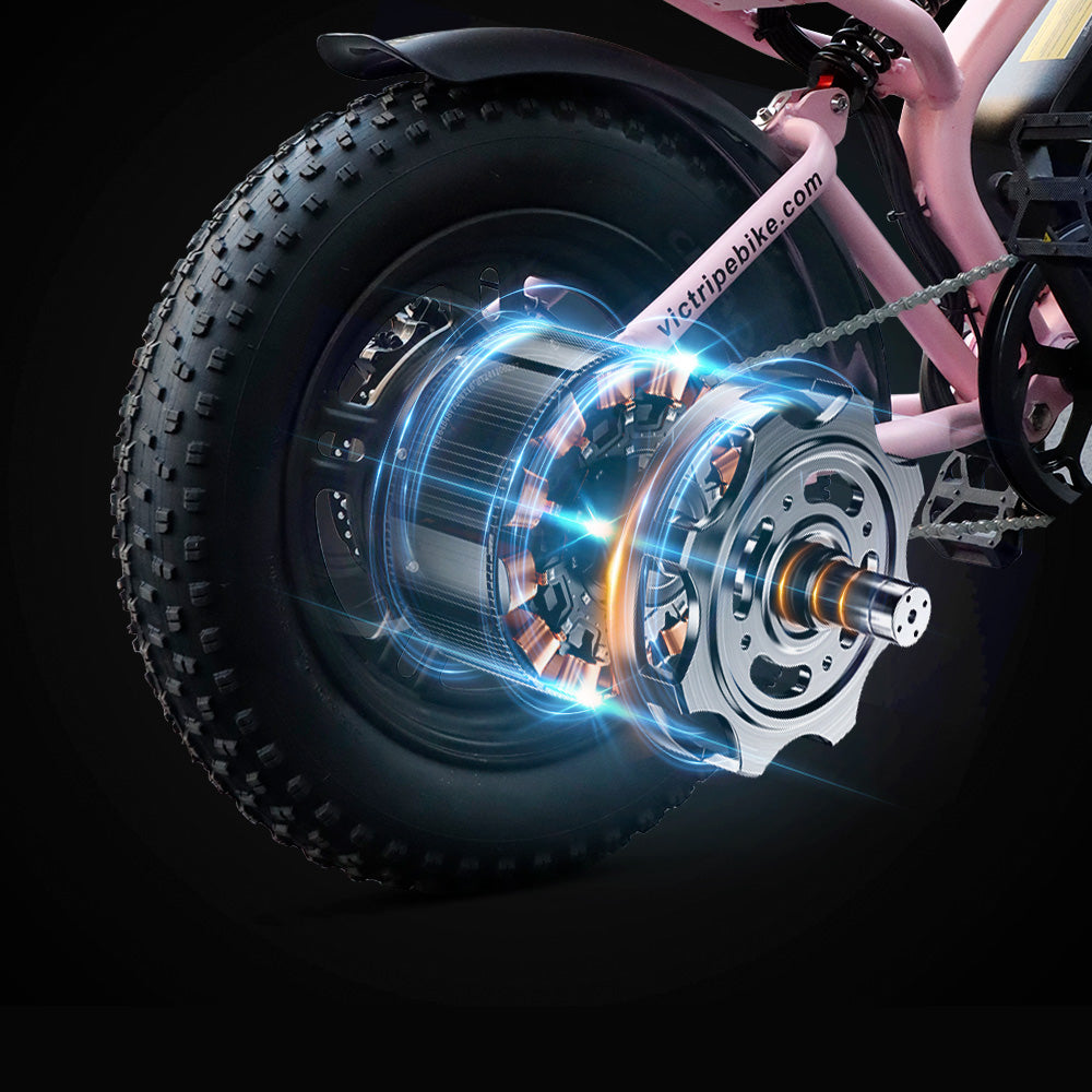 1500 Watt E Bikes | VICTRIP