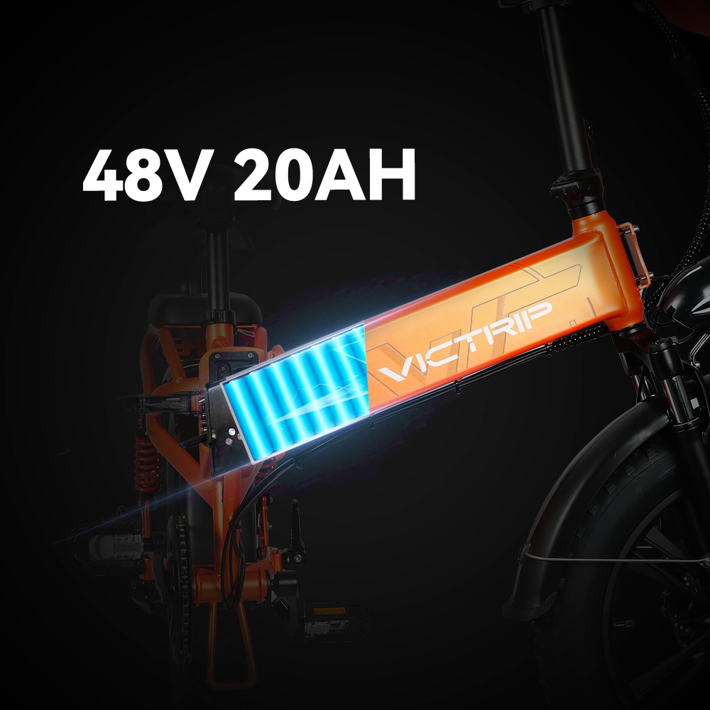 Electric Bike Battery 48v | VICTRIP