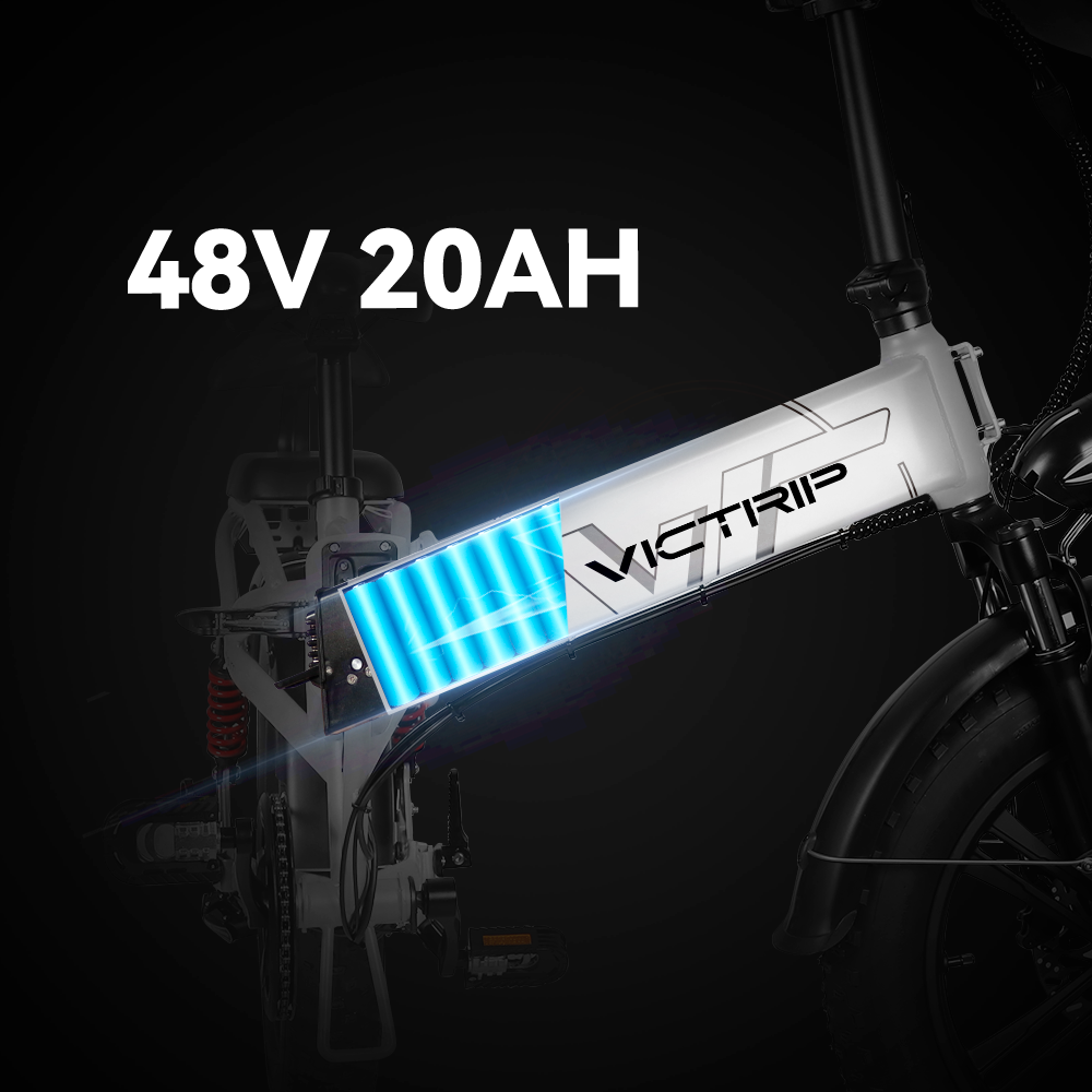 Batteries For Electric Bikes | VICTRIP