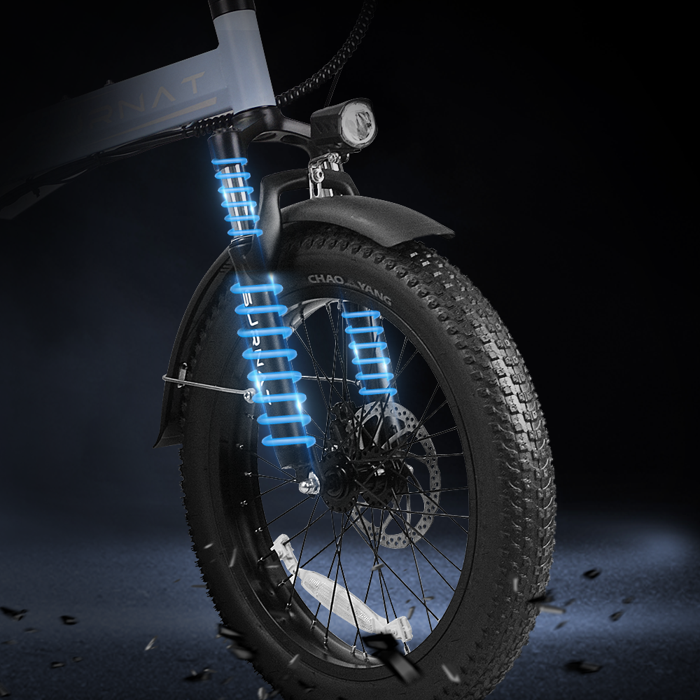 Fat Tire Electric Bike 750 Watt | VICTRIP