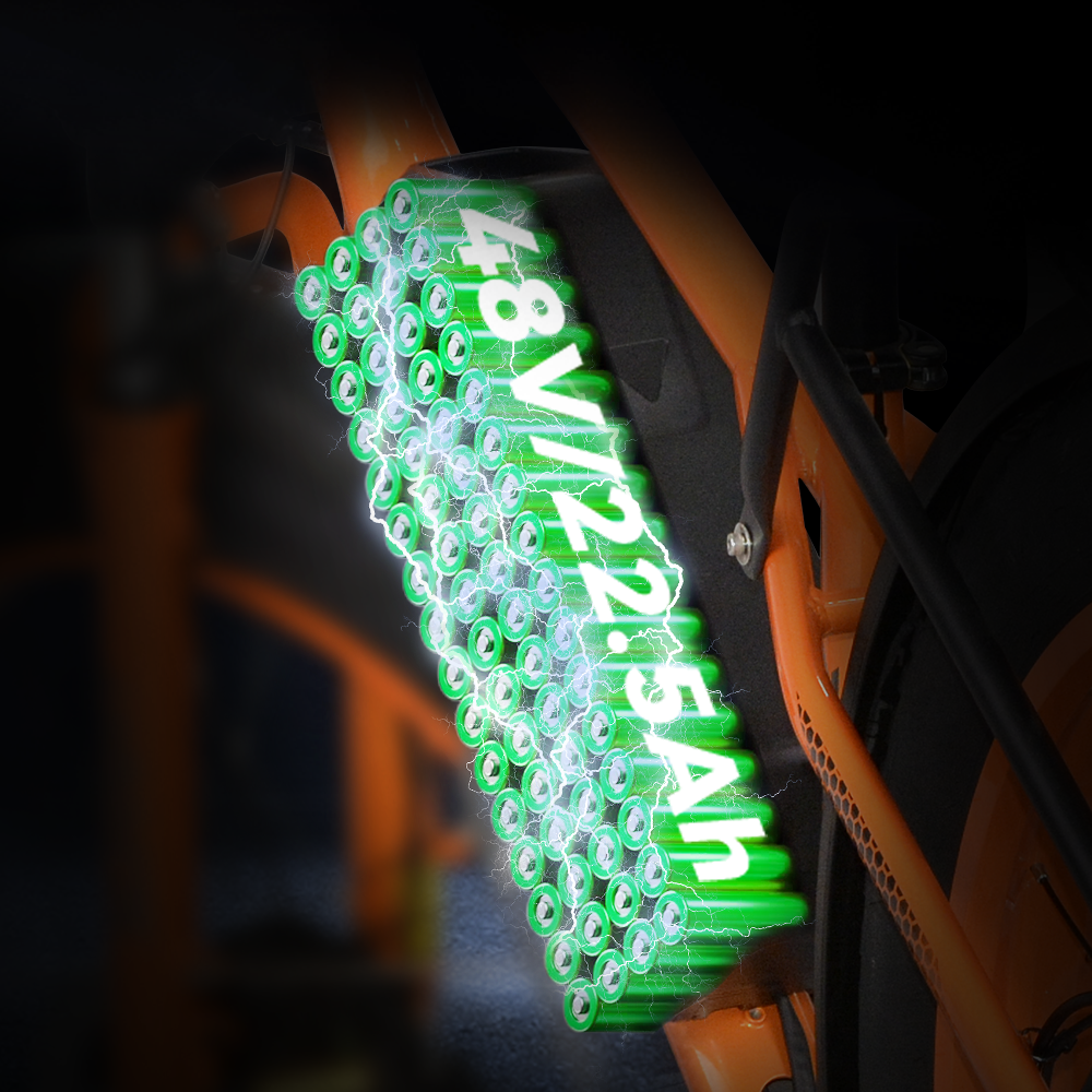 2000 Watt Electric Bike | VICTRIP