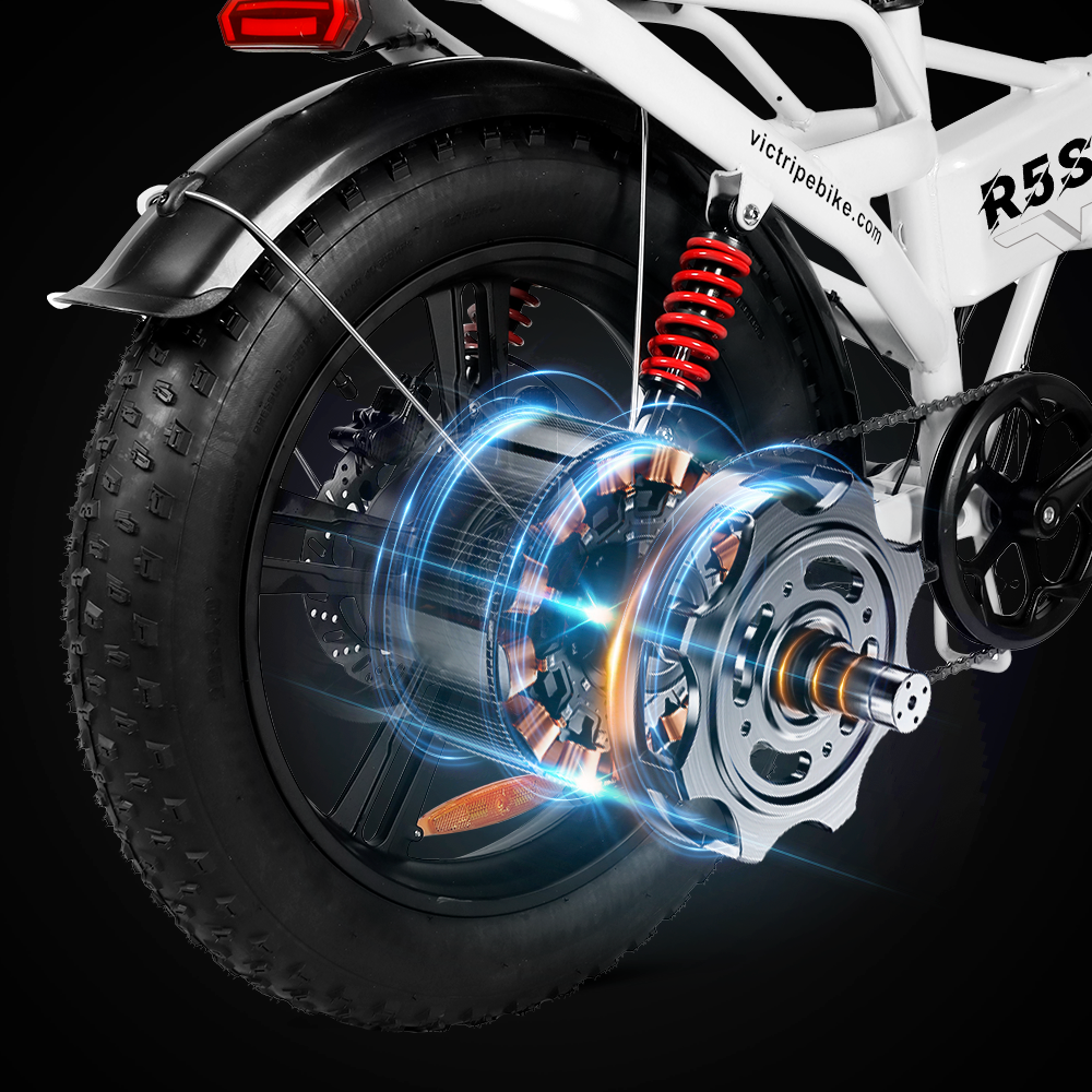 Electric Bike Motor | VICTRIP