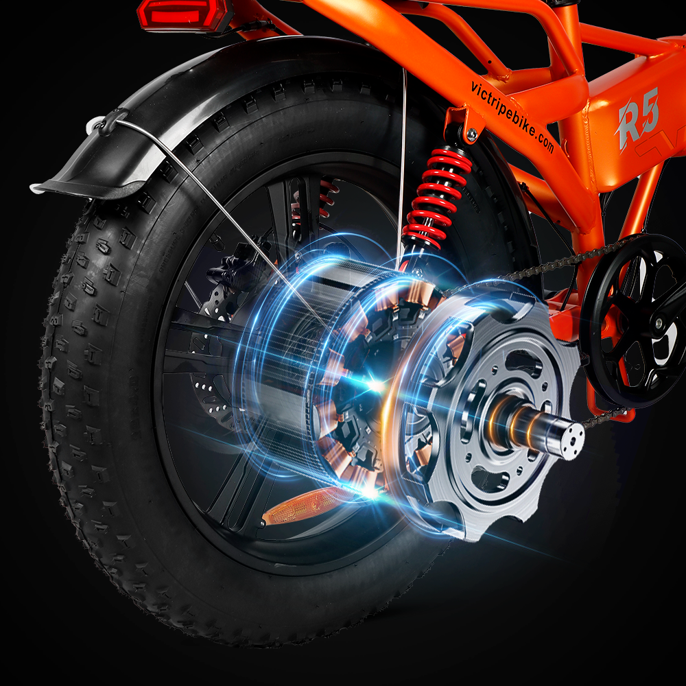 Fat Tire Electric Bike 750w | VICTRIP