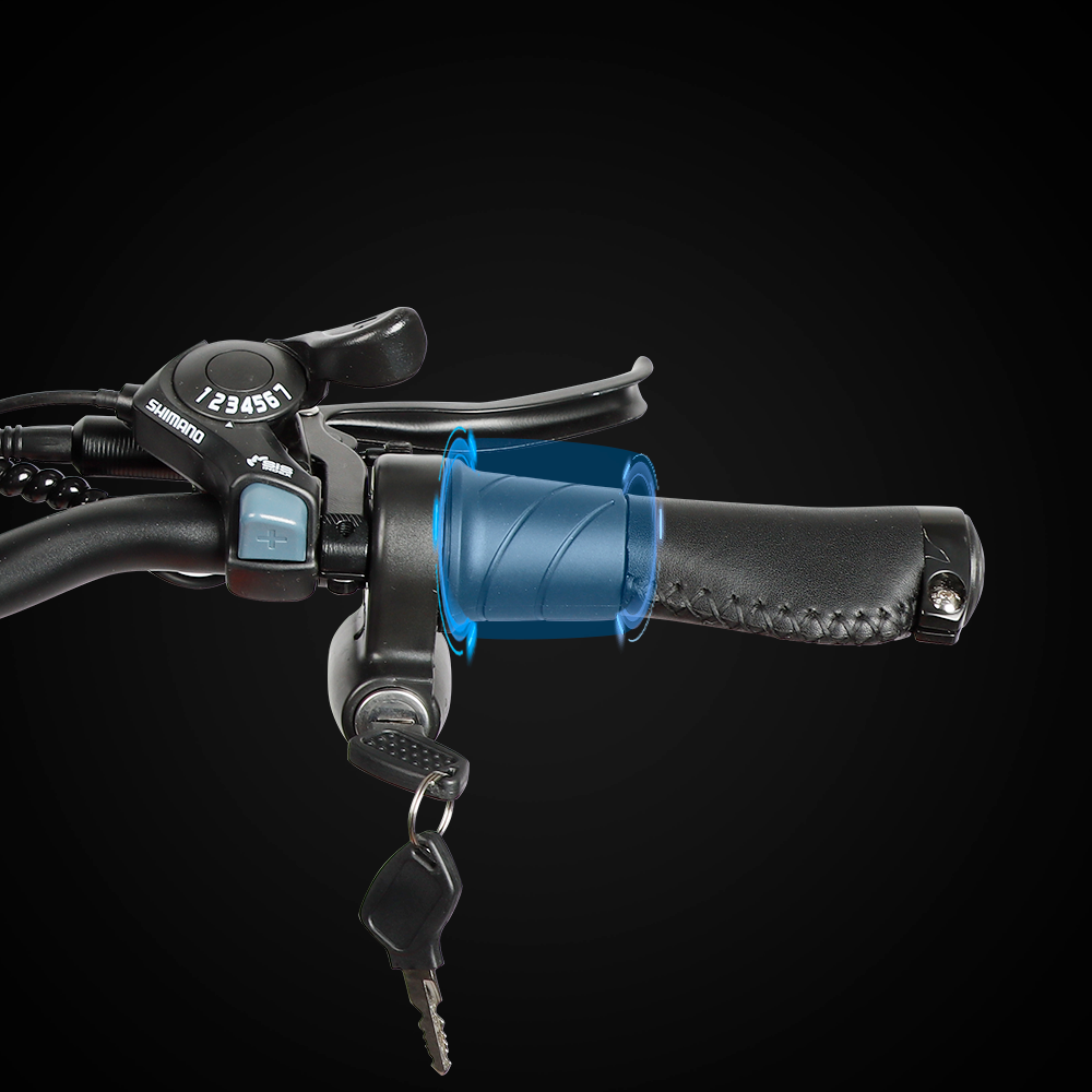 Electric Bike With Throttle | VICTRIP