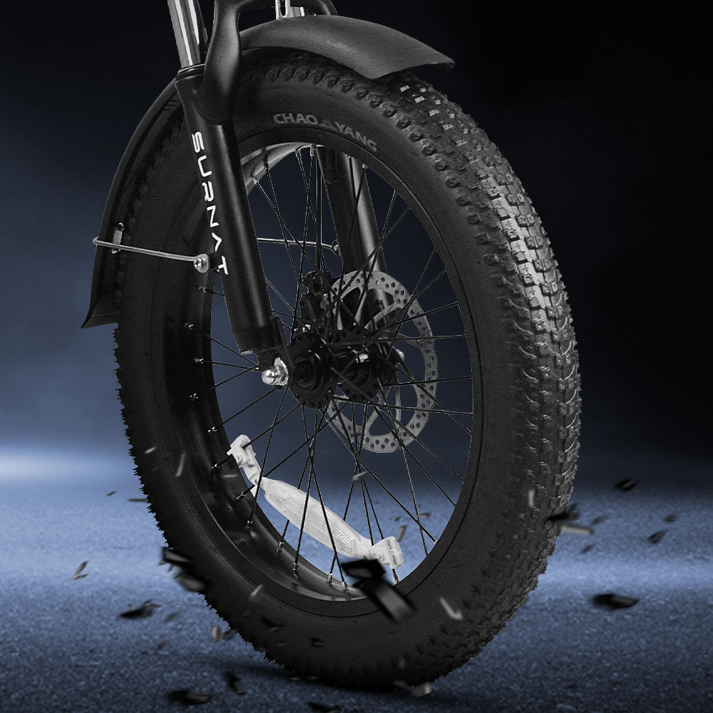 Electric Bikes With Fat Tires | VICTRIP
