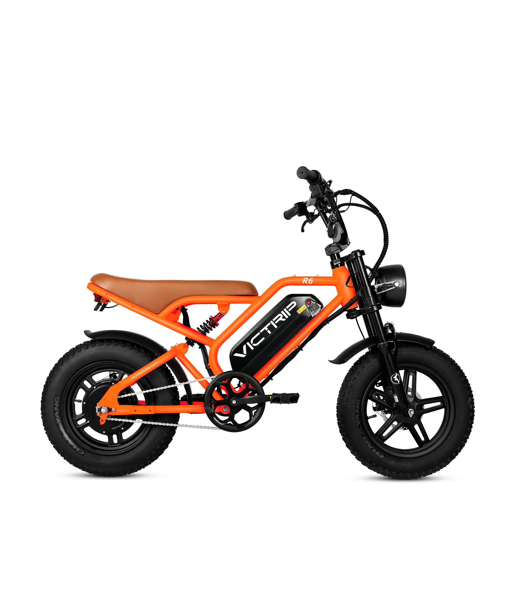 Off Road Electric Bike For Adults | VICTRIP