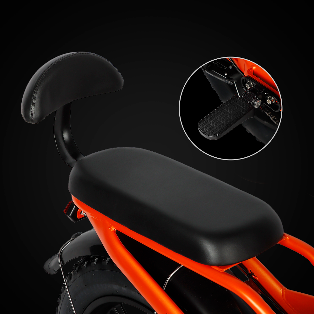 2 Seat Electric Bike | VICTRIP