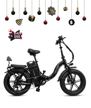 VICTRIP® TITAN S 1000W Long Range Ebike