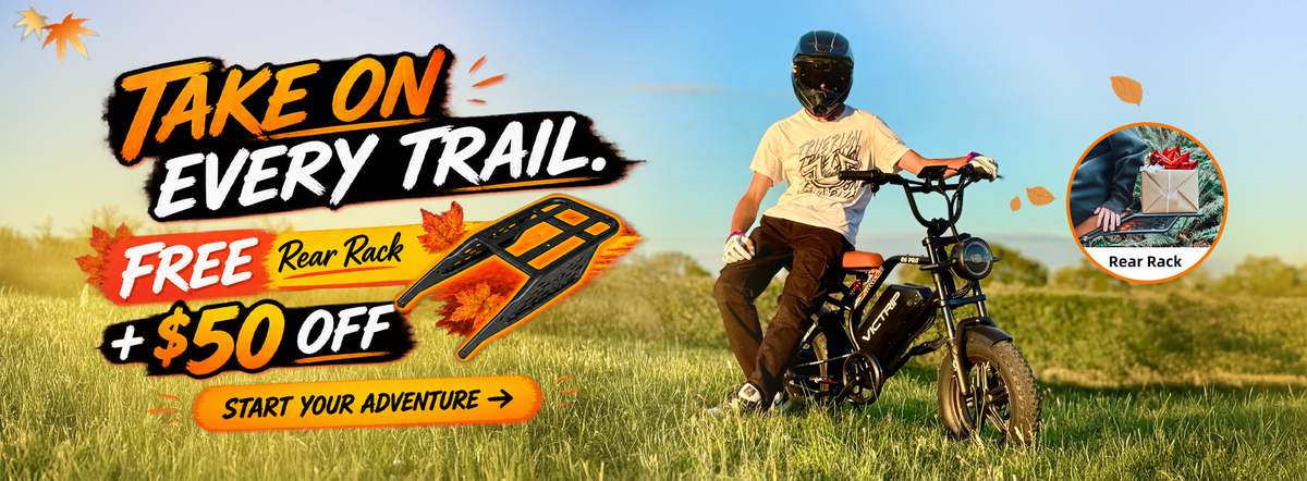 Cheap Electric Moped Bike | VICTRIP