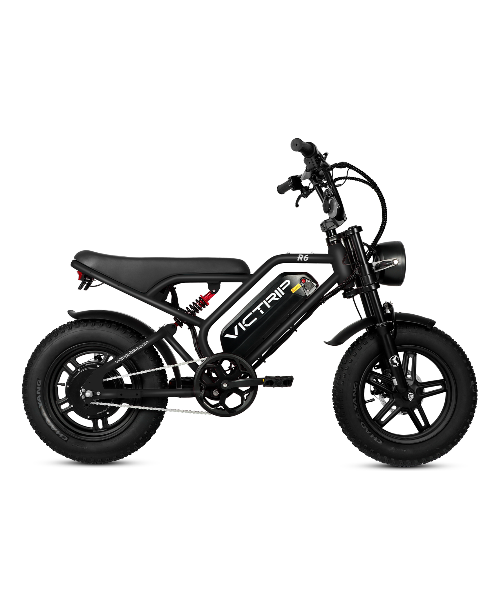 Black Electric Bike Affordable | VICTRIP