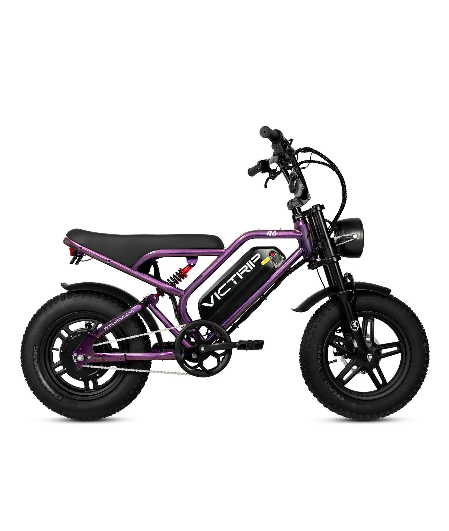 MIni Electric Bike Affordable | VICTRIP