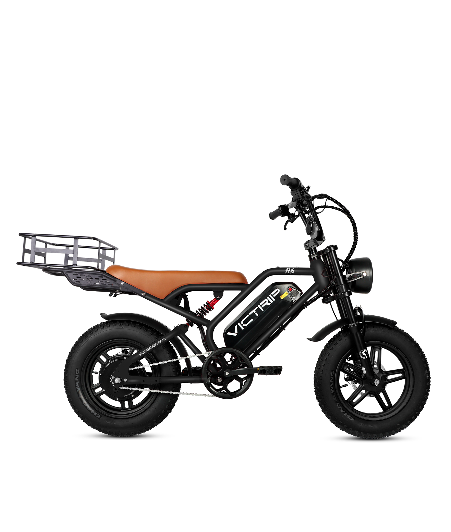 750W Electric Bike Cargo | VICTRIP