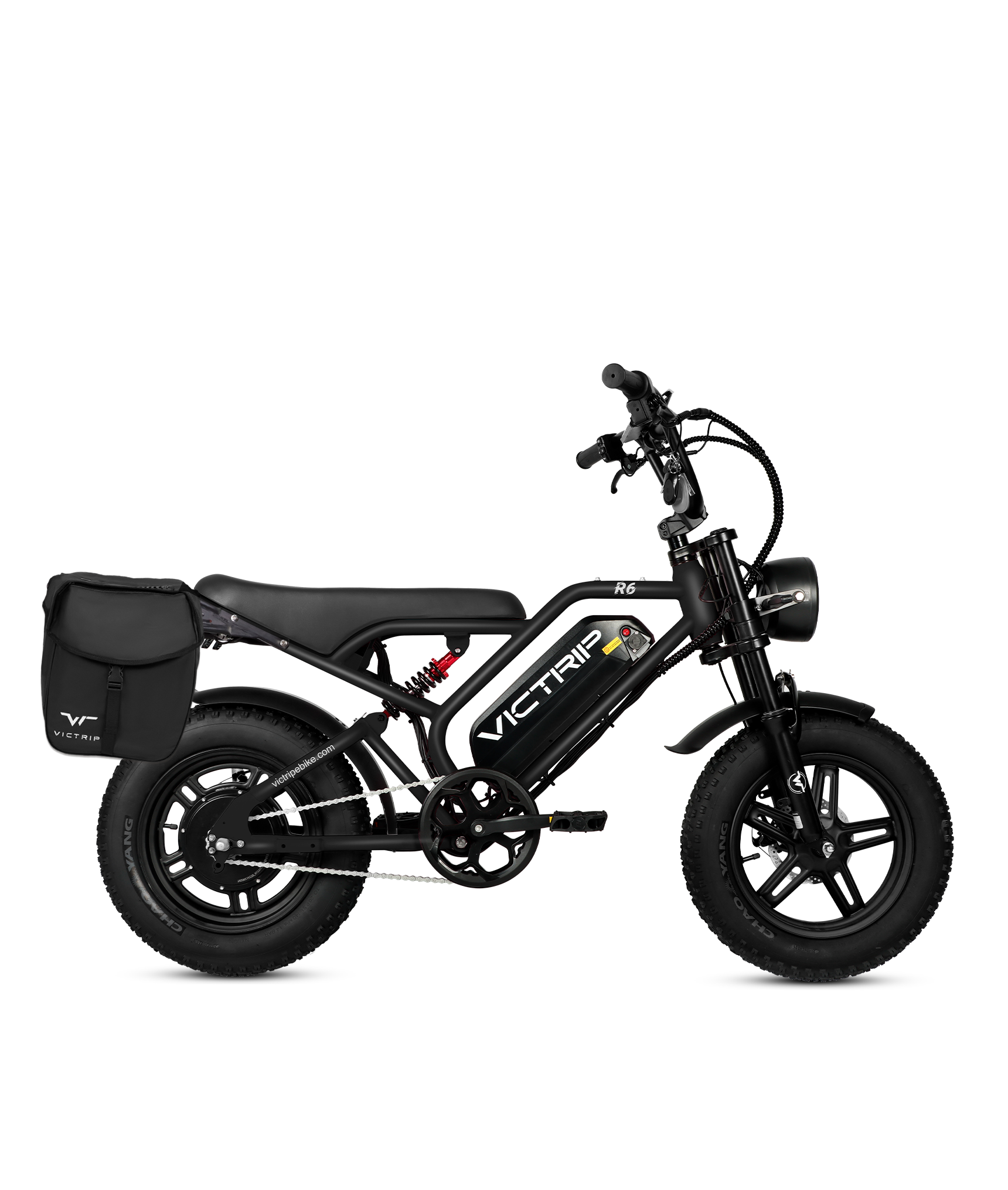 Cargo Electric Bike Off Road | VICTRIP