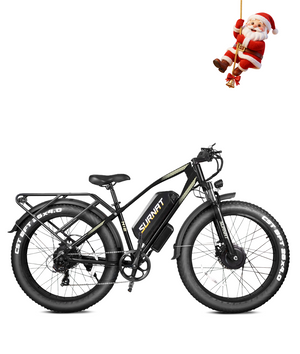 VICTRIP®SURNAT N12 2000w Electric Bike