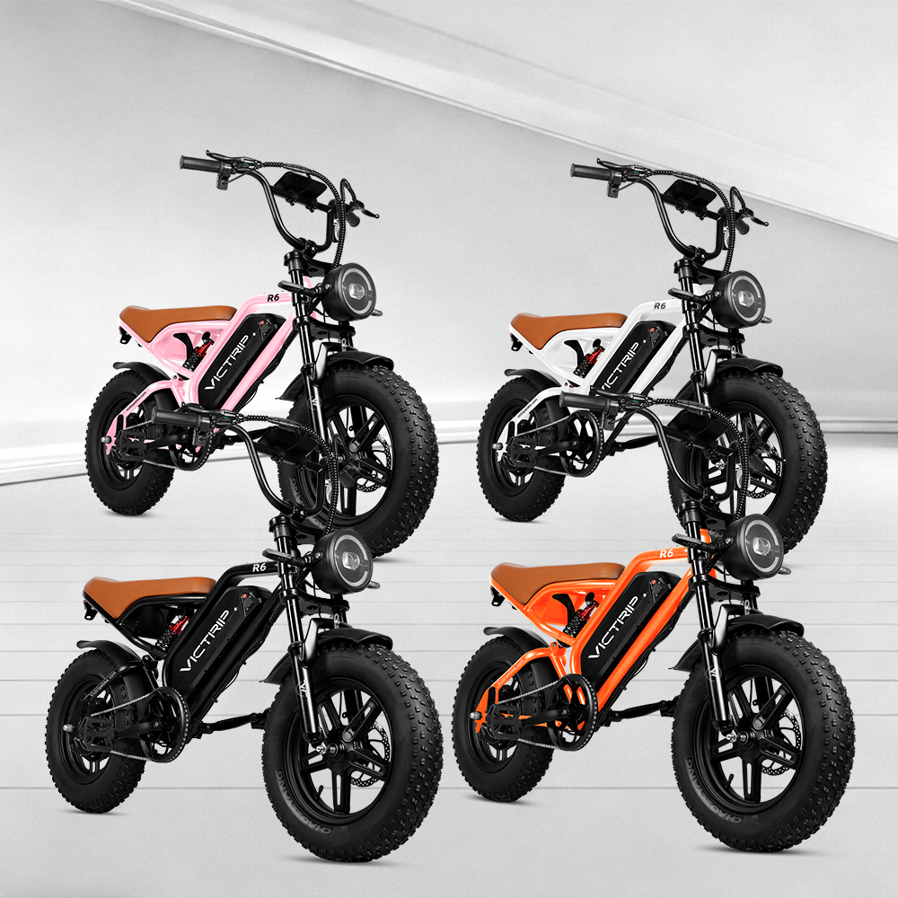 750W Electric Bike For Teens | VICTRIP