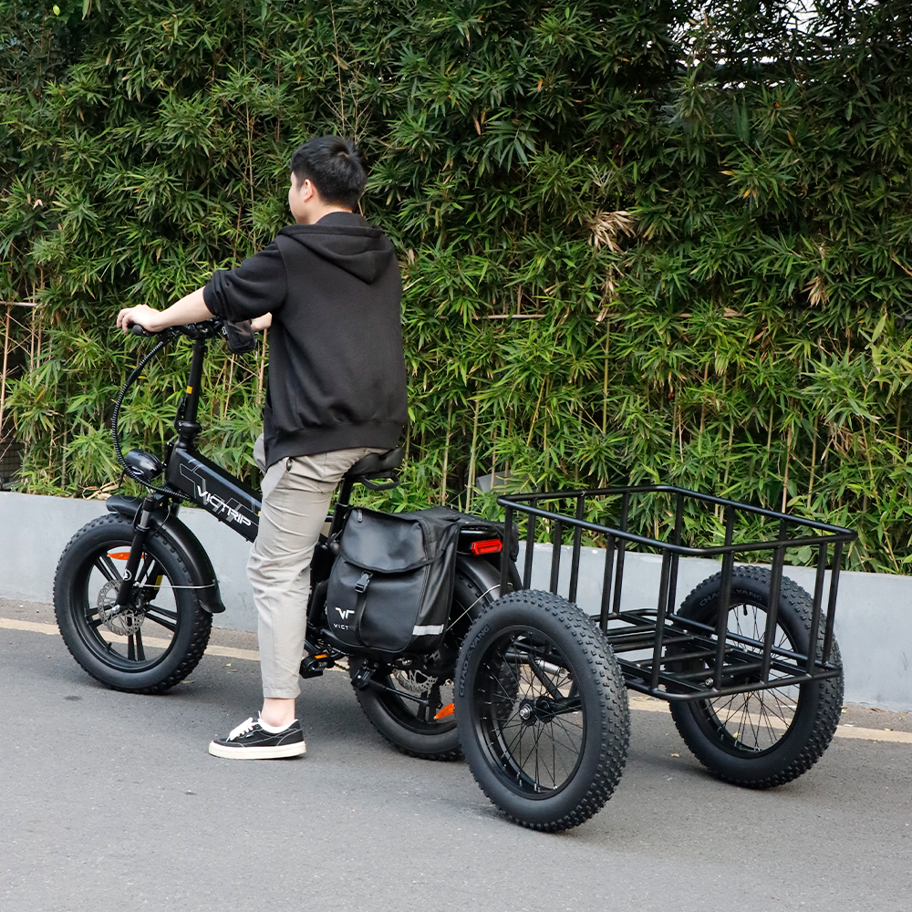 Electric Bike With Trailer | VICTRIP