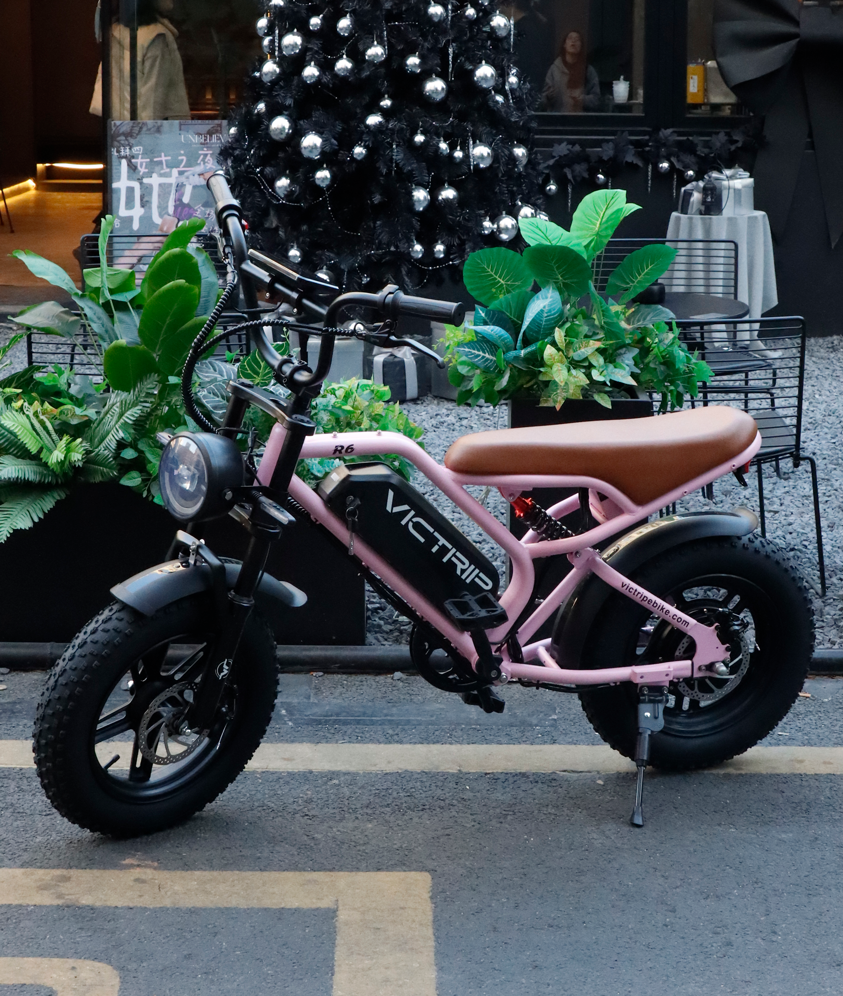 E Bike With Long Seat | VICTRIP