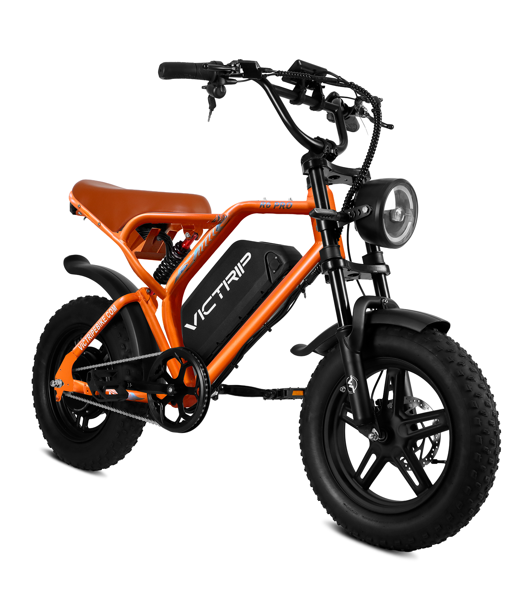 Cheap Electric Bicycle 250W | VICTRIP