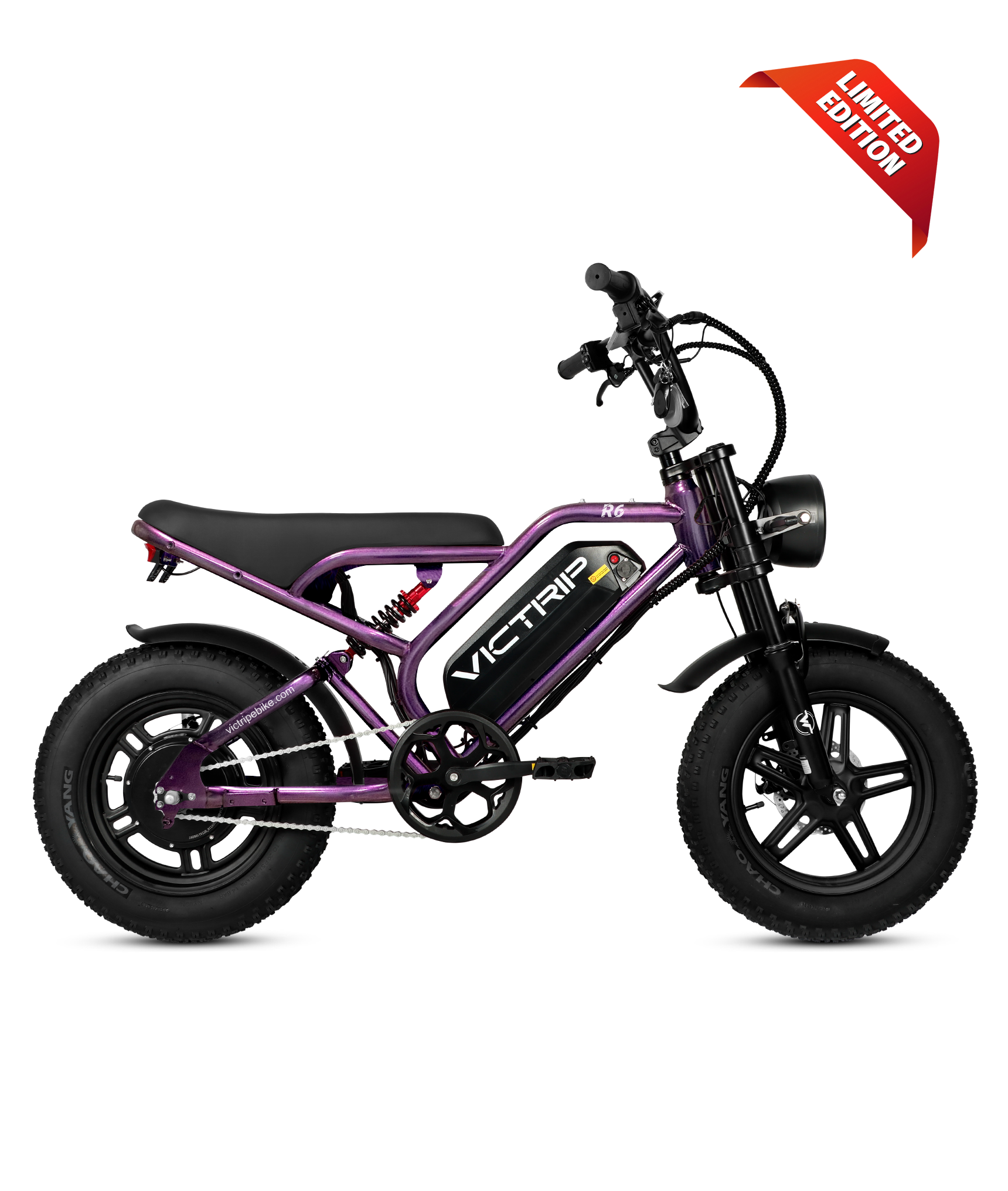 E Bikes That Look Like Motorcycles | VICTRIP